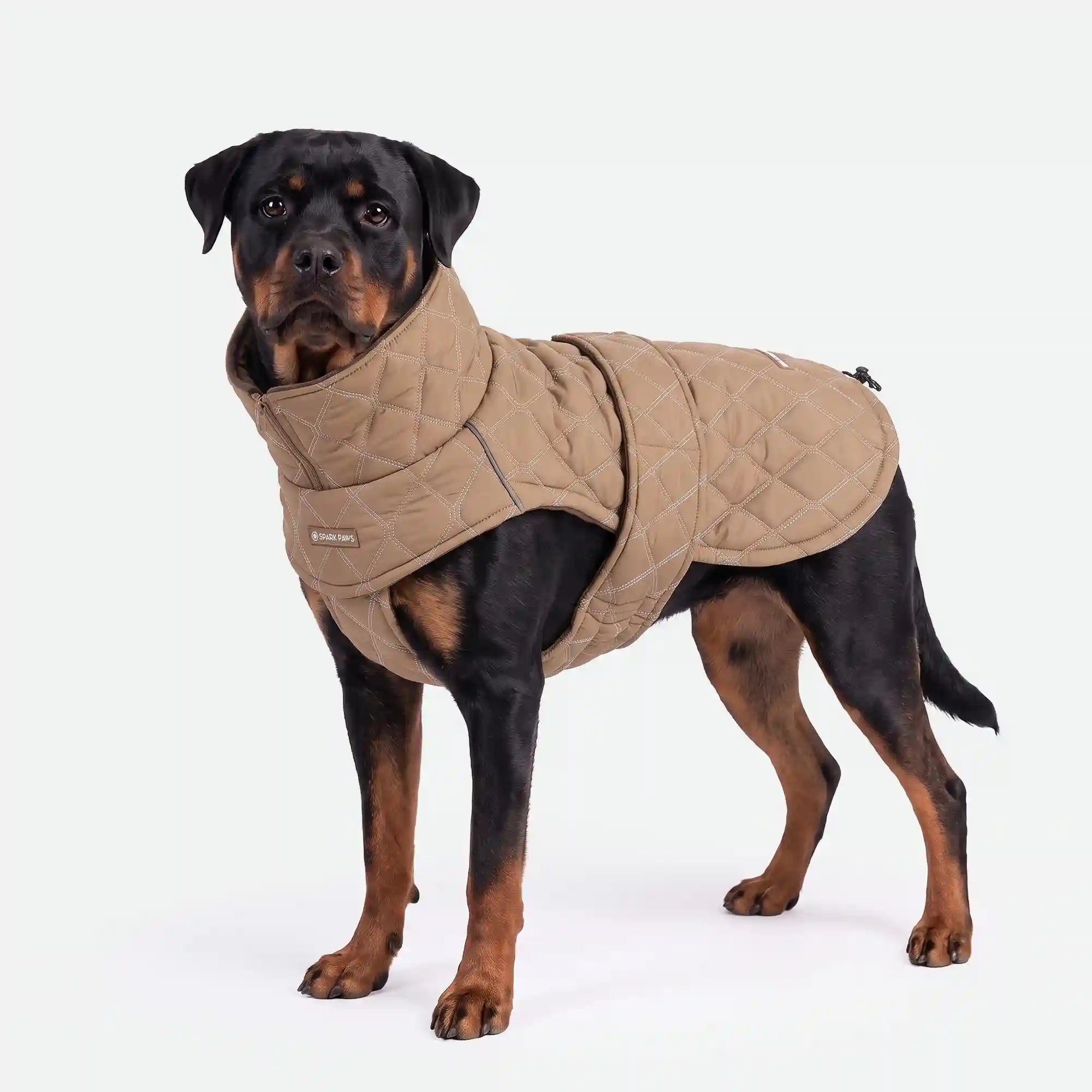 sparkpawsmaut.com
