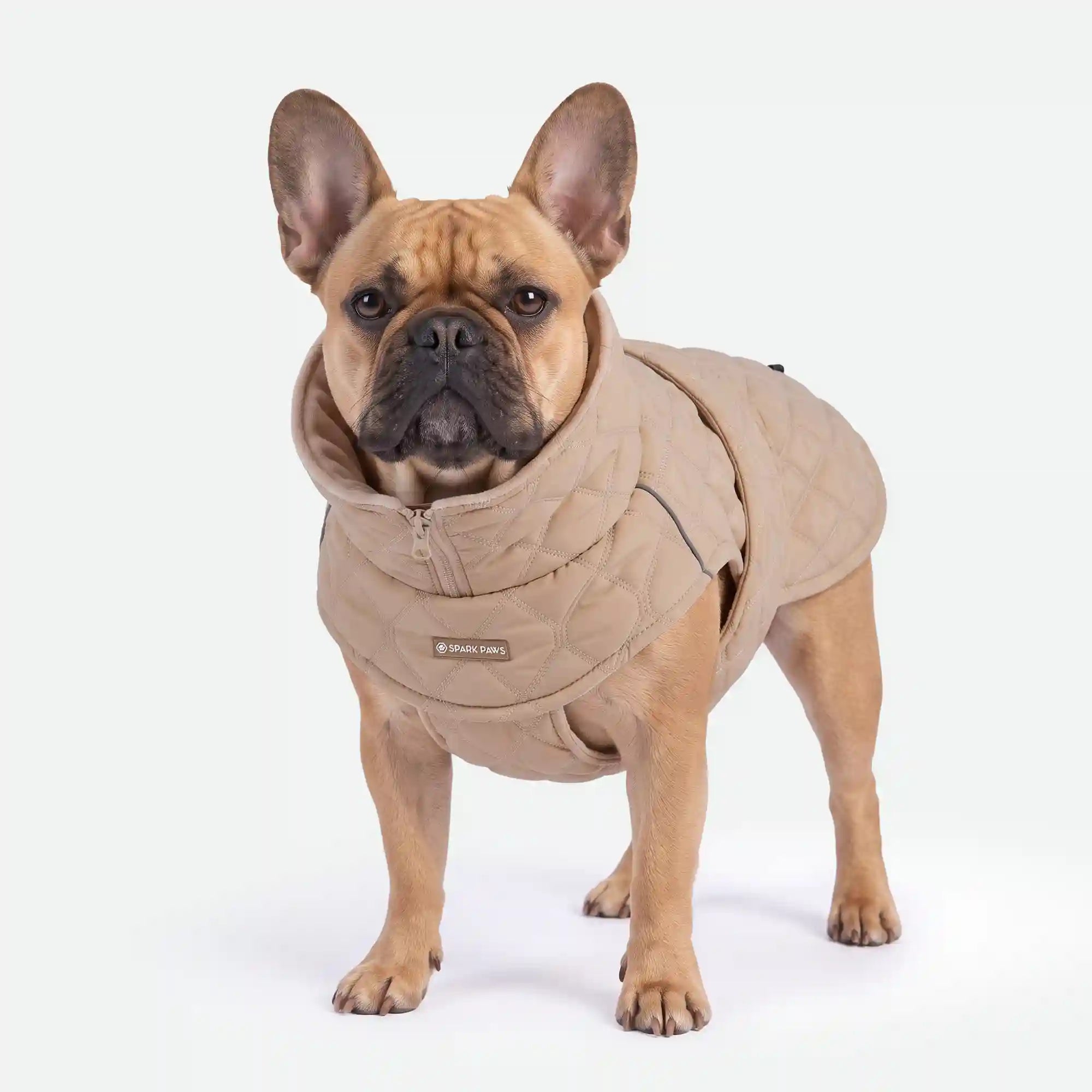 sparkpawsmaut.com