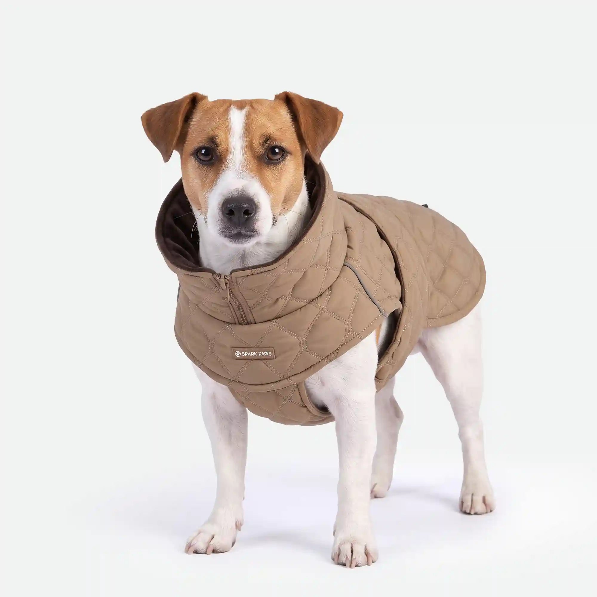 sparkpawsmaut.com