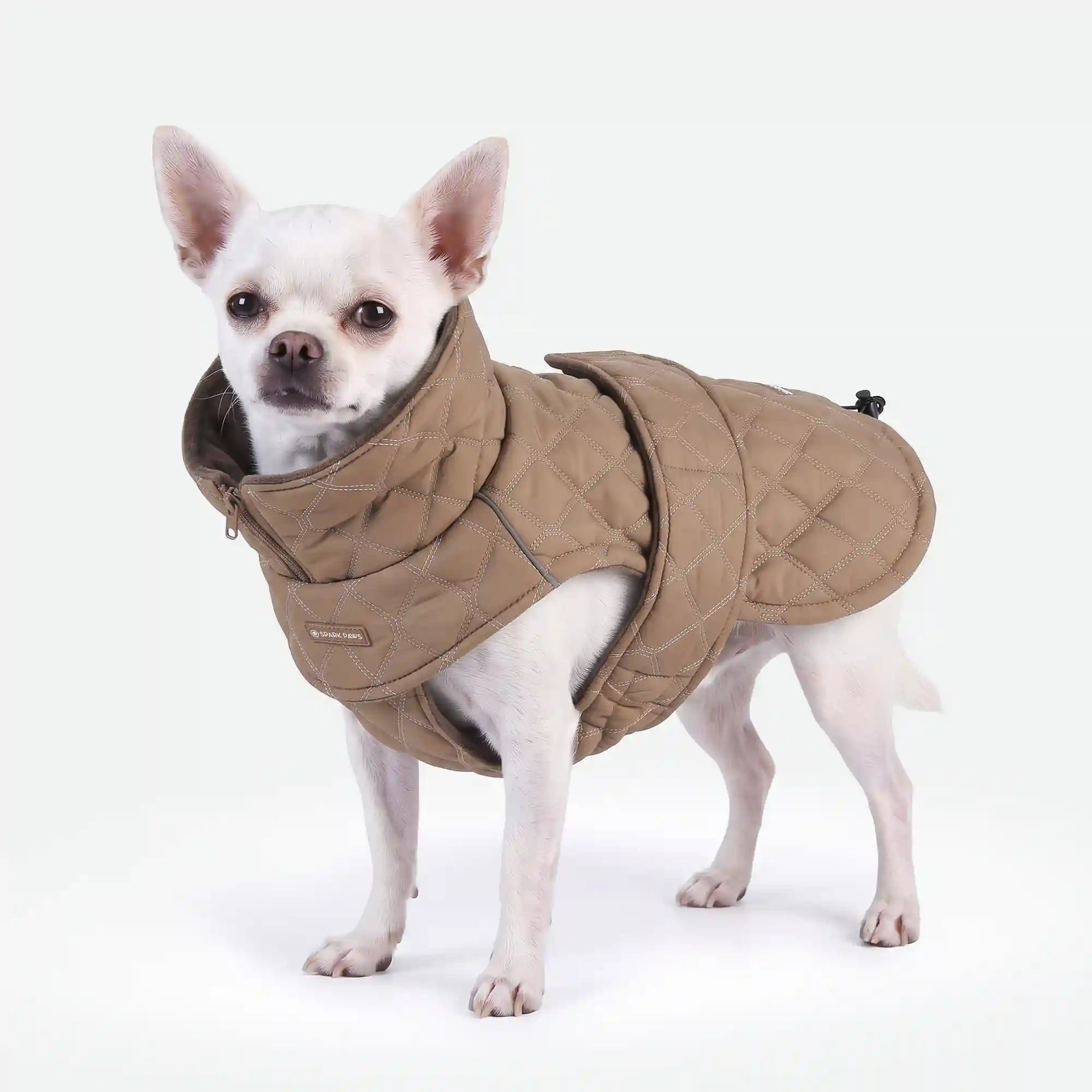 sparkpawsmaut.com