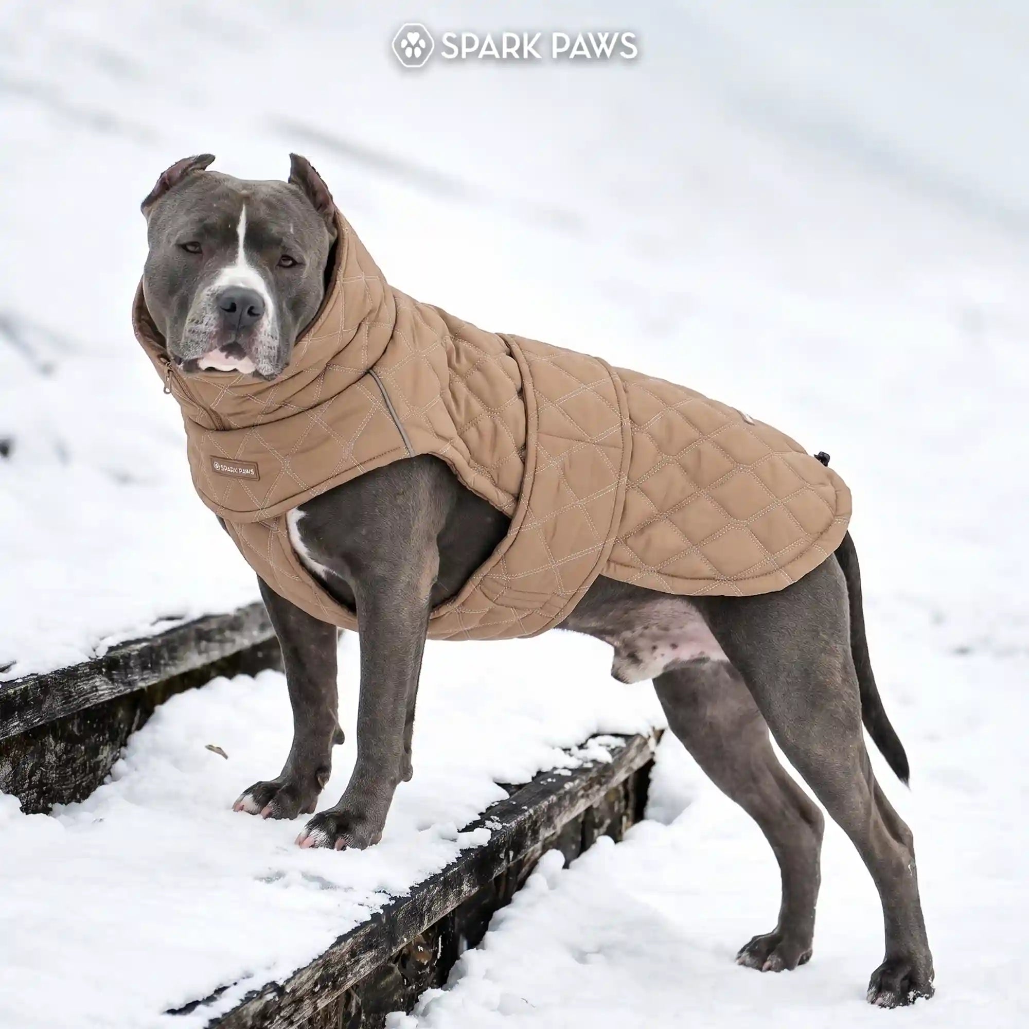 sparkpawsmaut.com