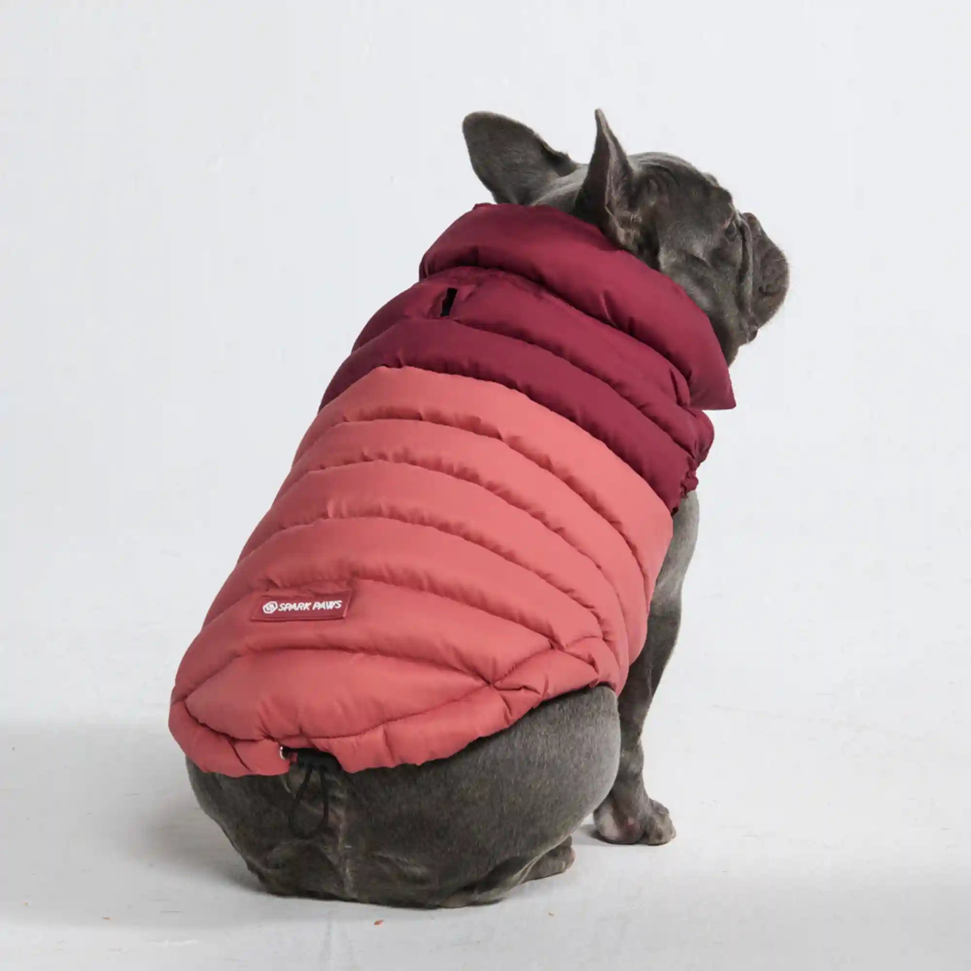 sparkpawsmaut.com