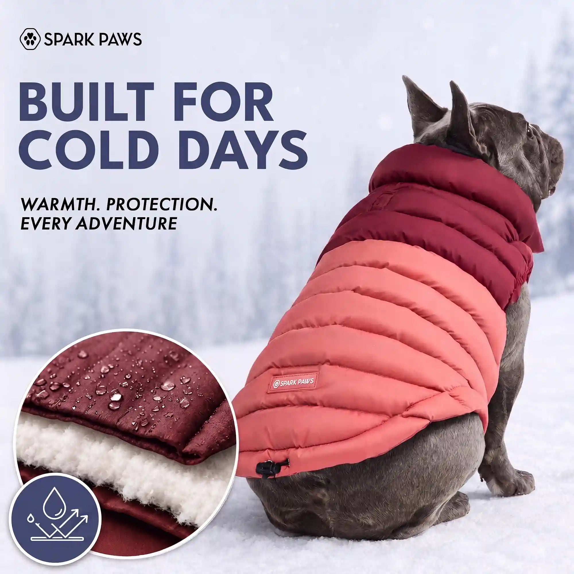 sparkpawsmaut.com