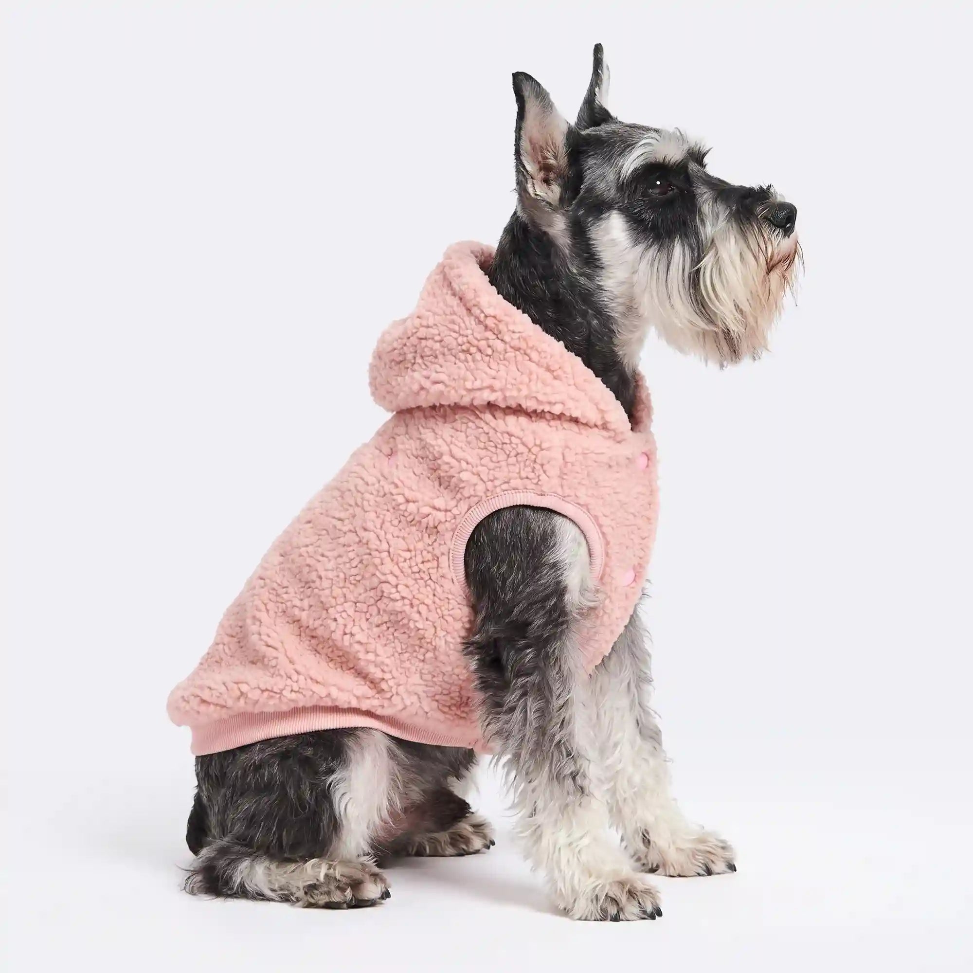 sparkpawsmaut.com
