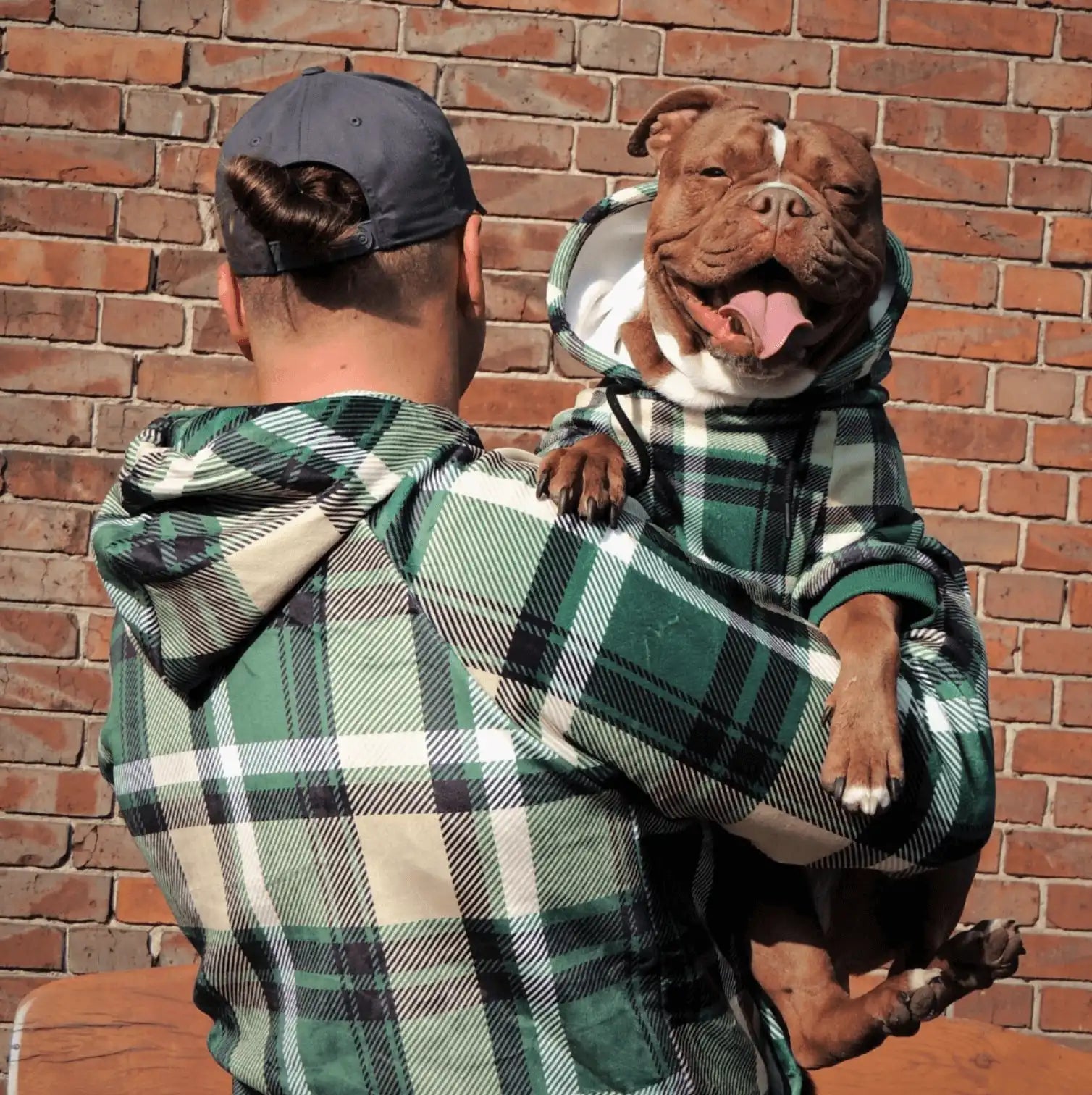 sparkpawsmaut.com