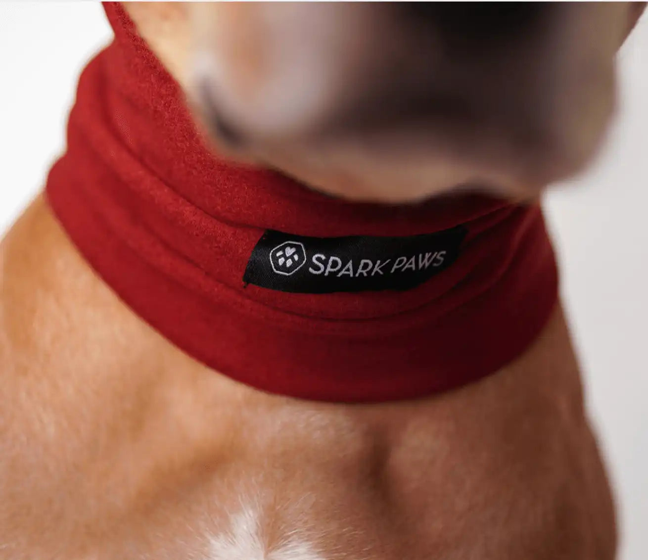 sparkpawsmaut.com