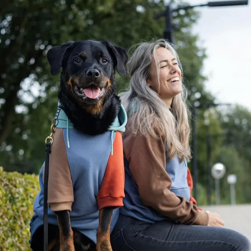 sparkpawsmaut.com