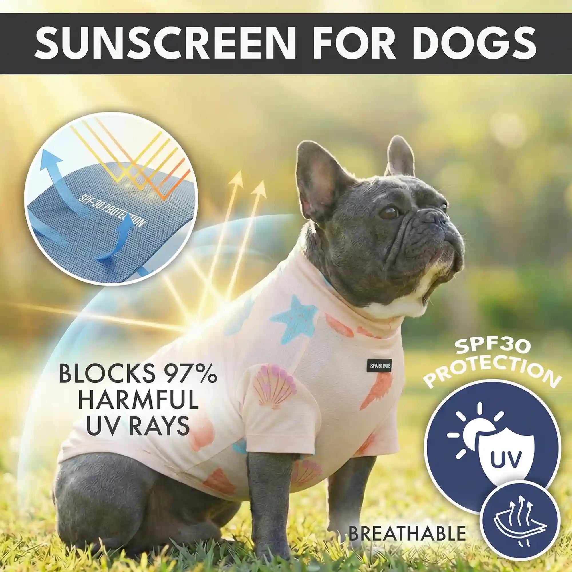 sparkpawsmaut.com