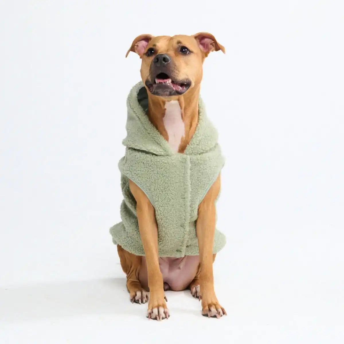 sparkpawsmaut.com