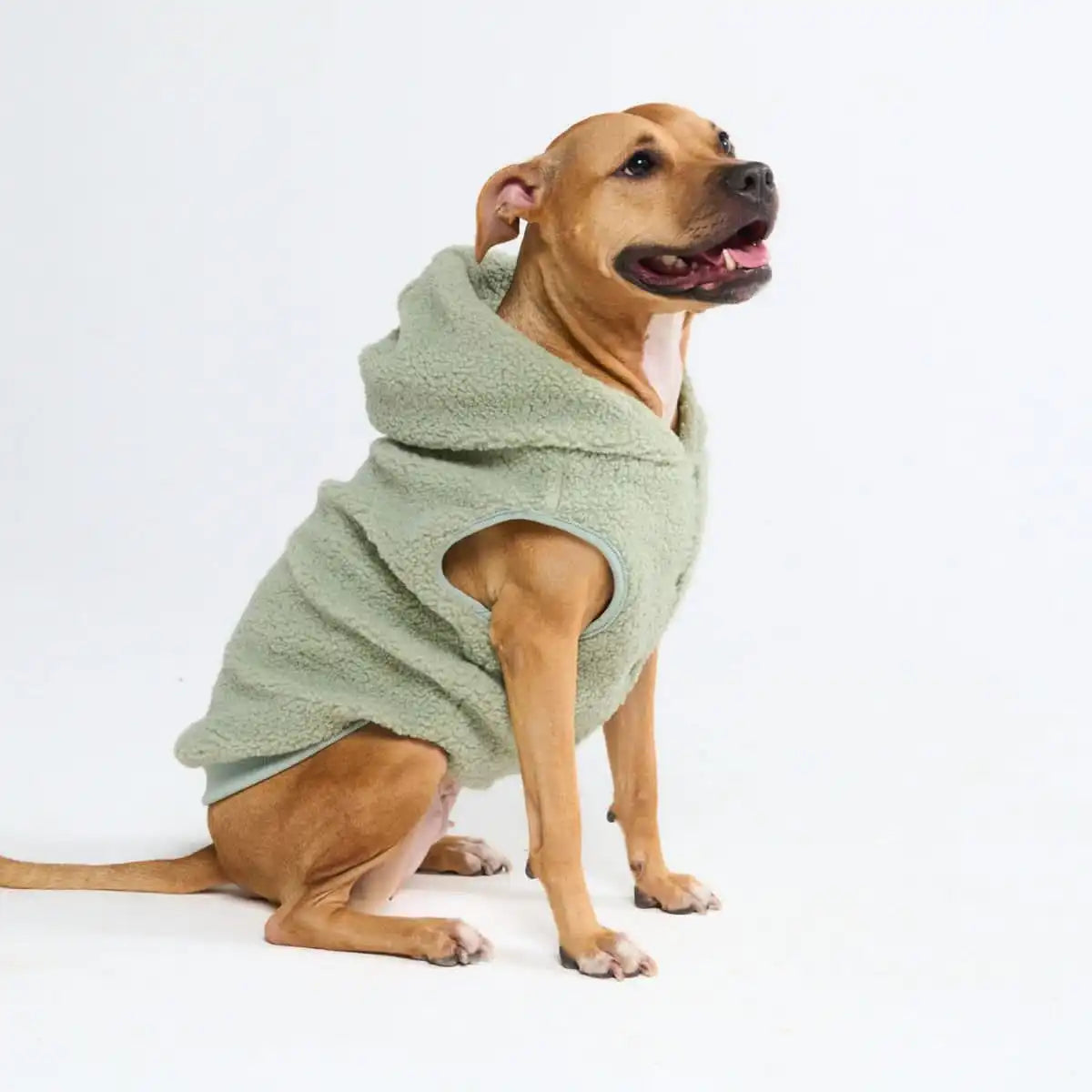 sparkpawsmaut.com