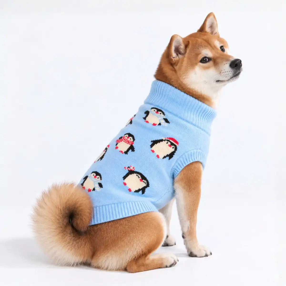 sparkpawsmaut.com