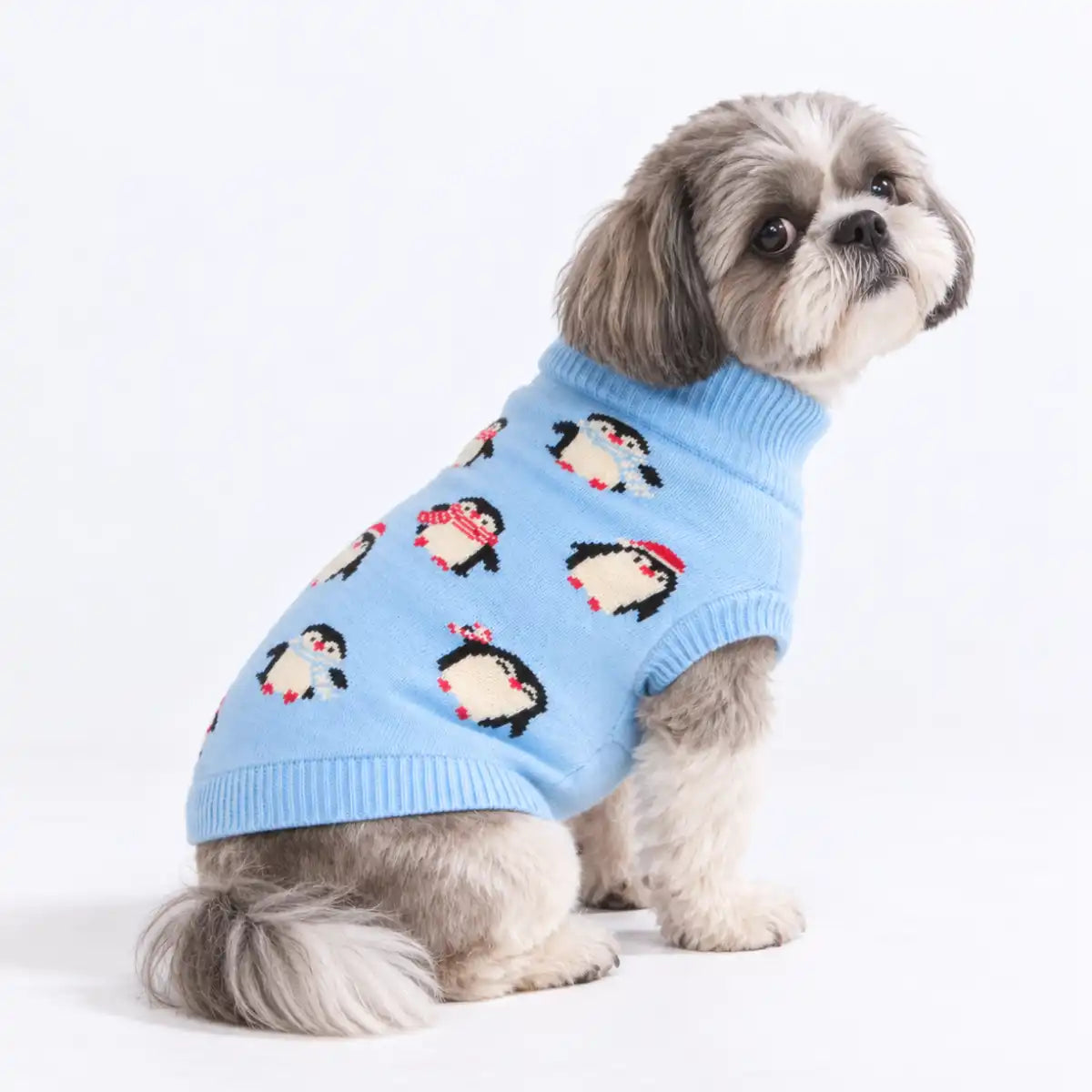 sparkpawsmaut.com