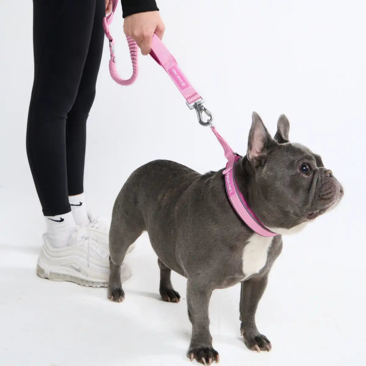 sparkpawsmaut.com