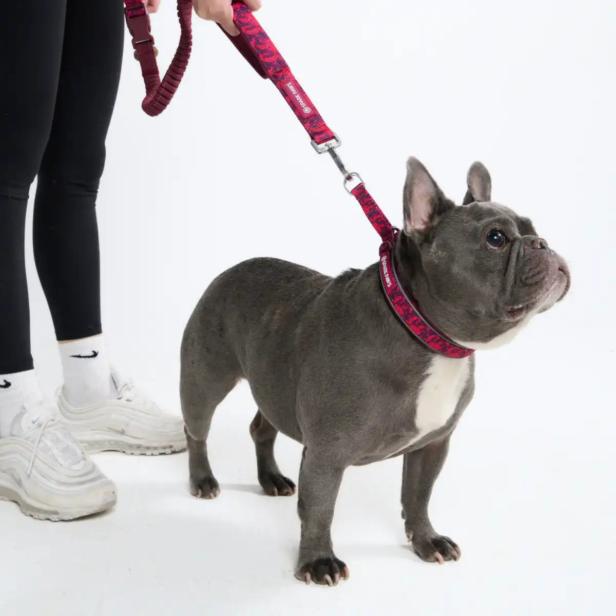 sparkpawsmaut.com