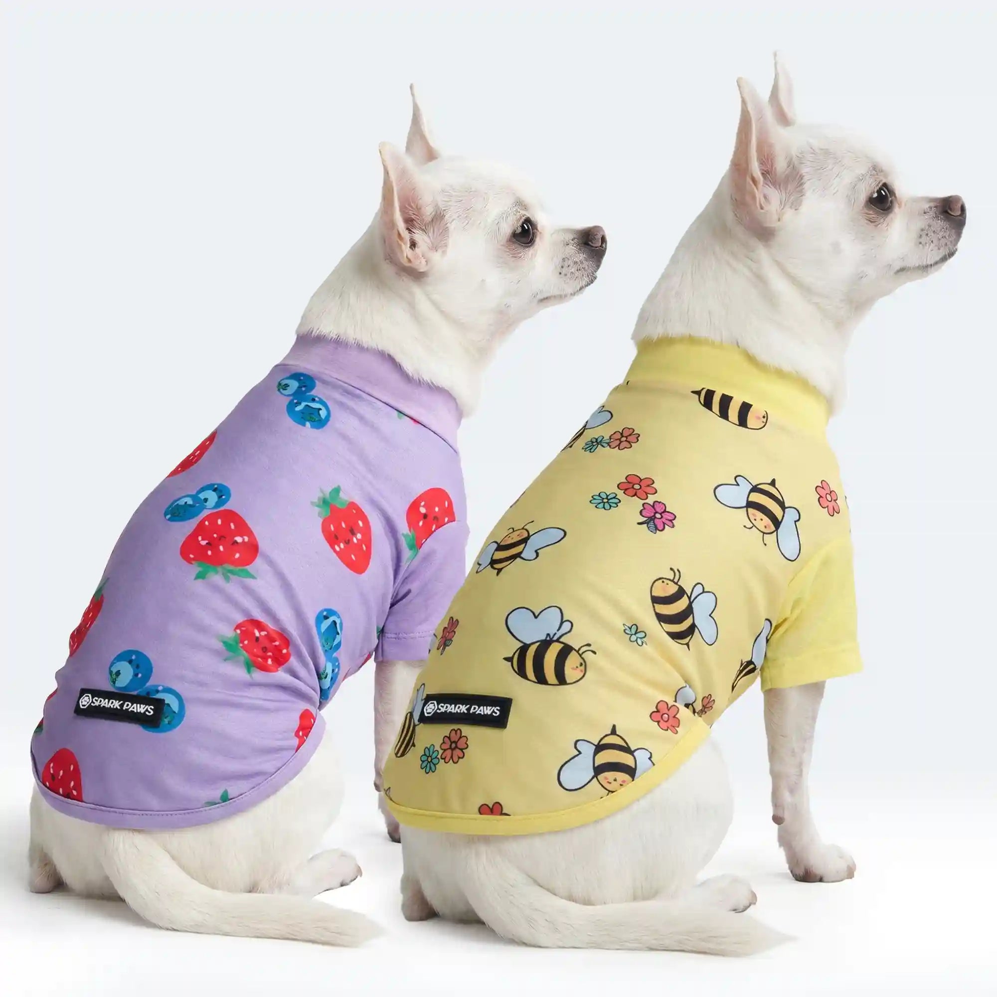 sparkpawsmaut.com