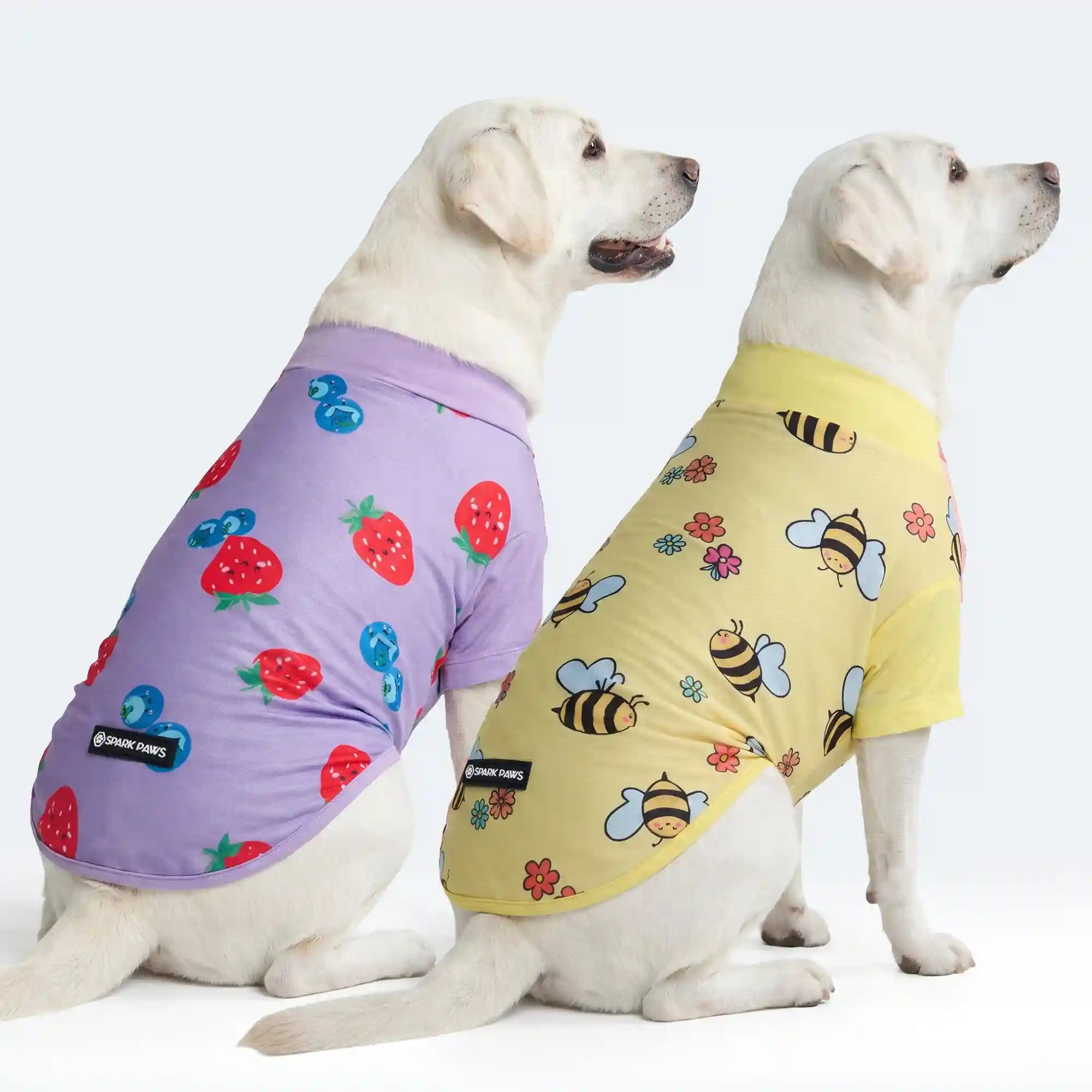 sparkpawsmaut.com