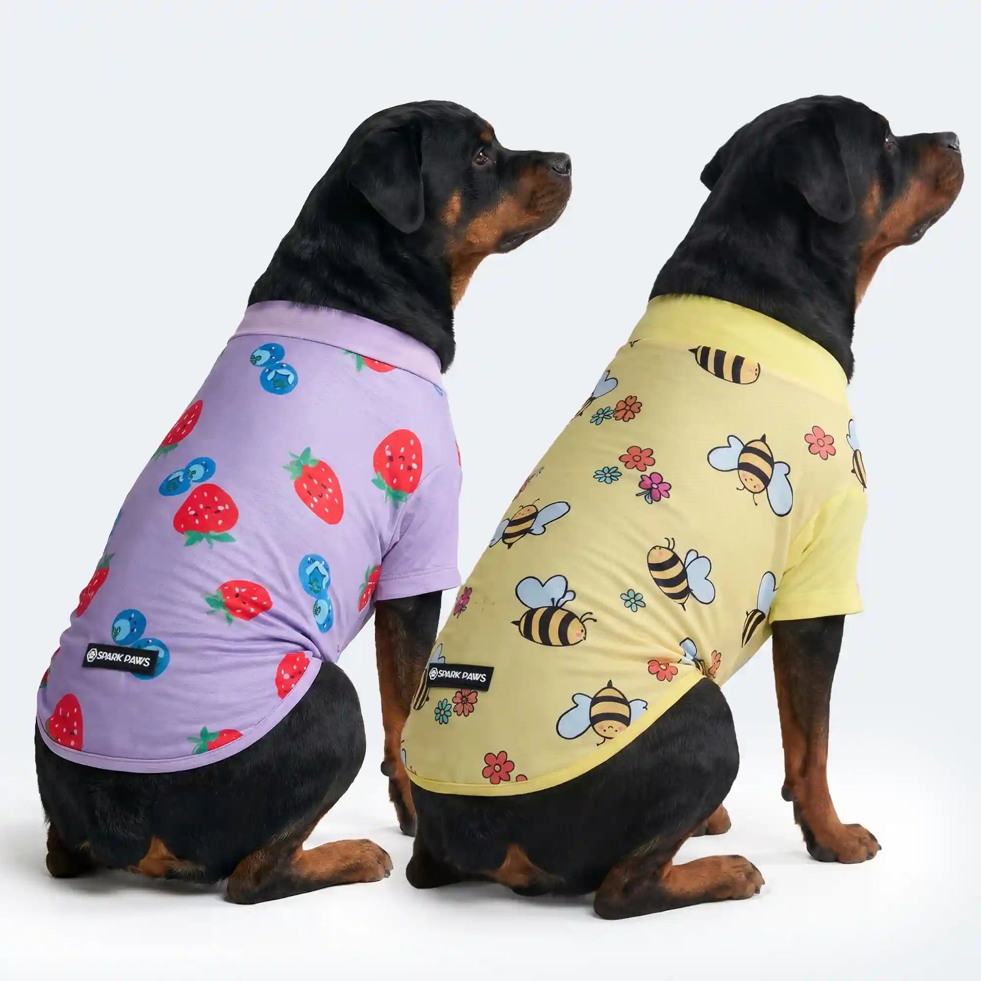 sparkpawsmaut.com
