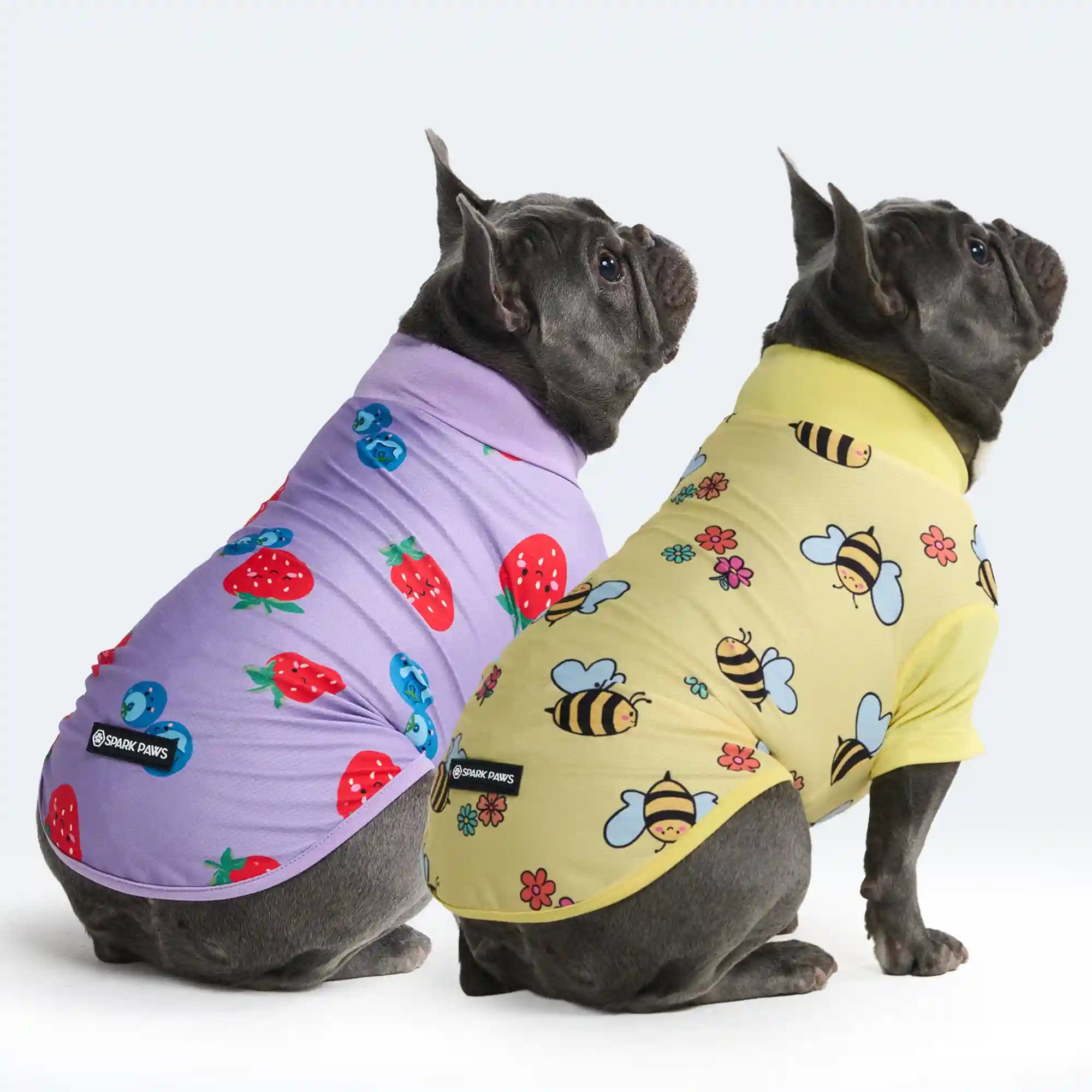 sparkpawsmaut.com