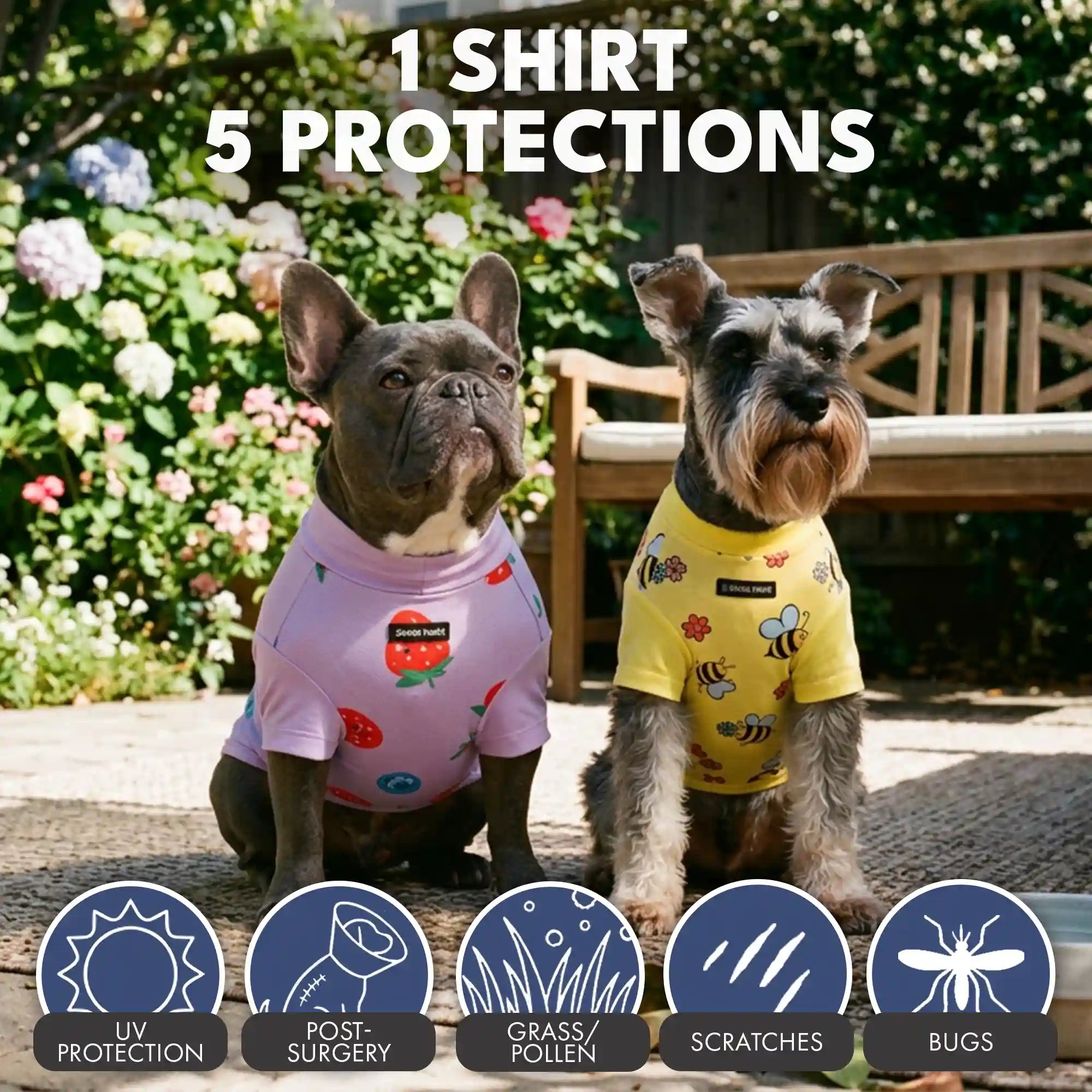 sparkpawsmaut.com