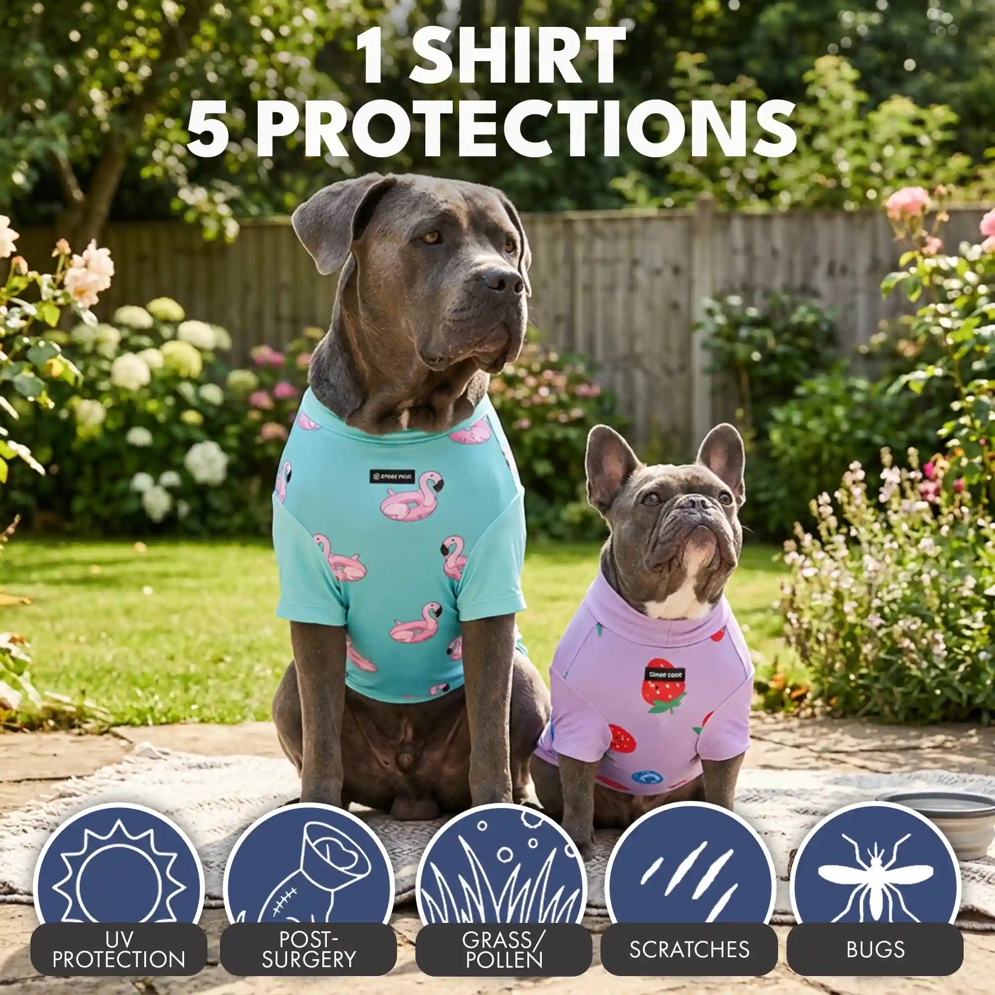 sparkpawsmaut.com