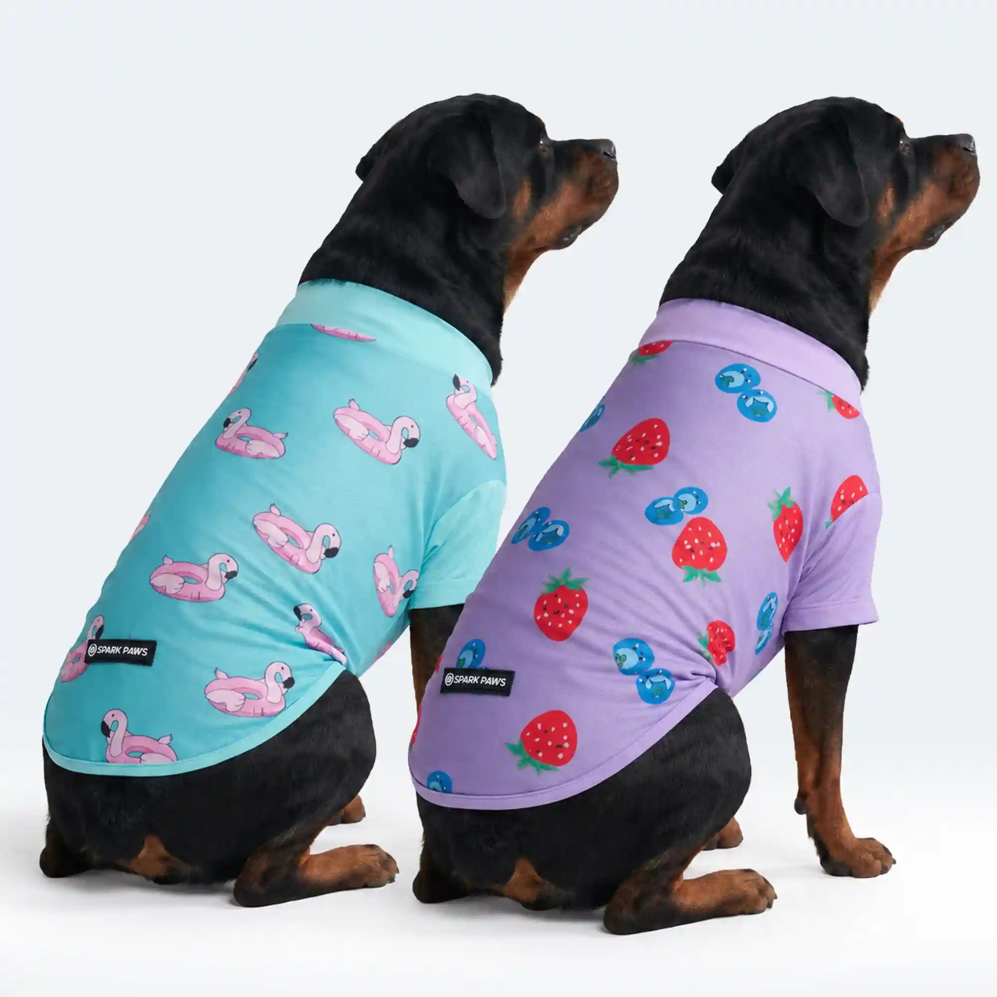 sparkpawsmaut.com