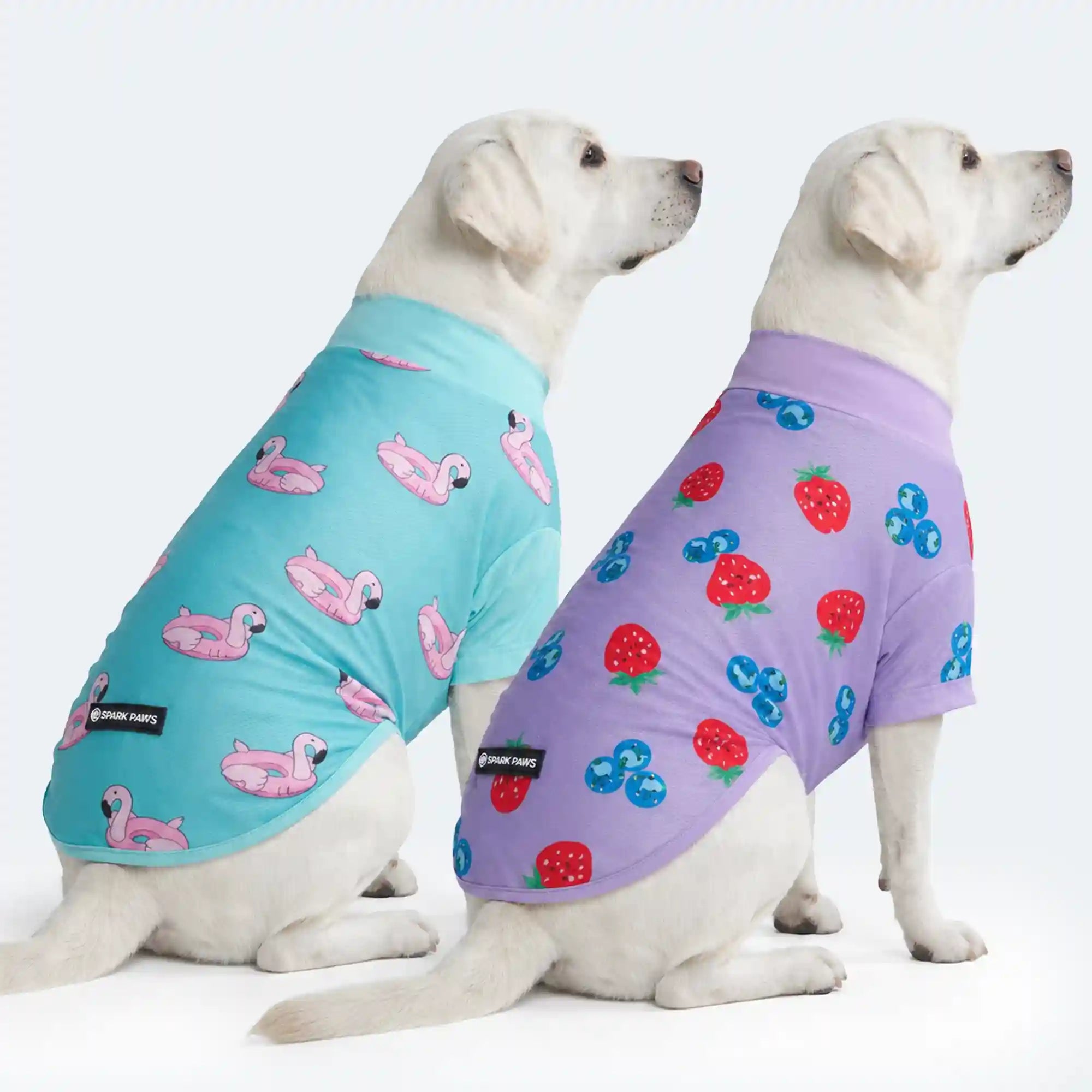 sparkpawsmaut.com
