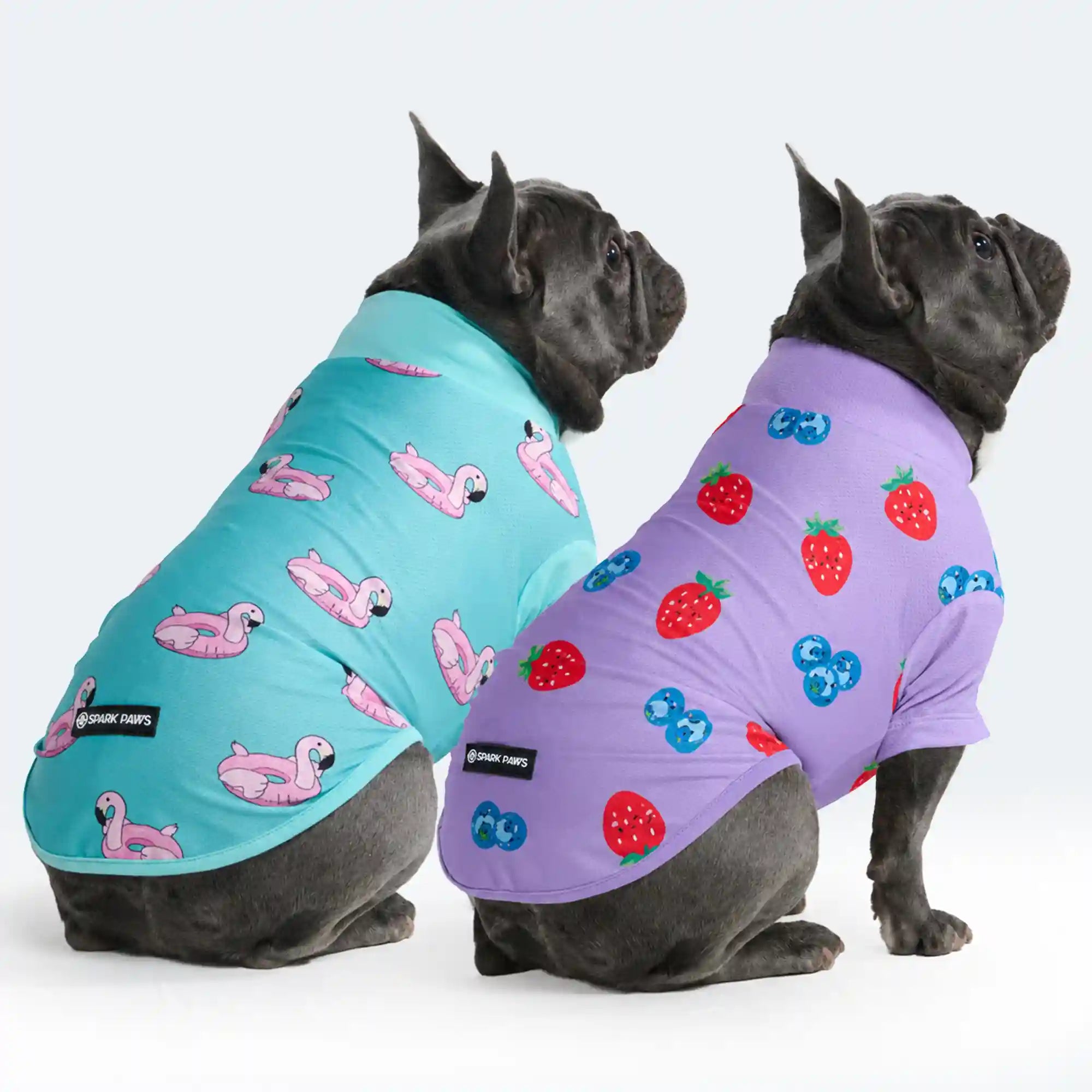 sparkpawsmaut.com