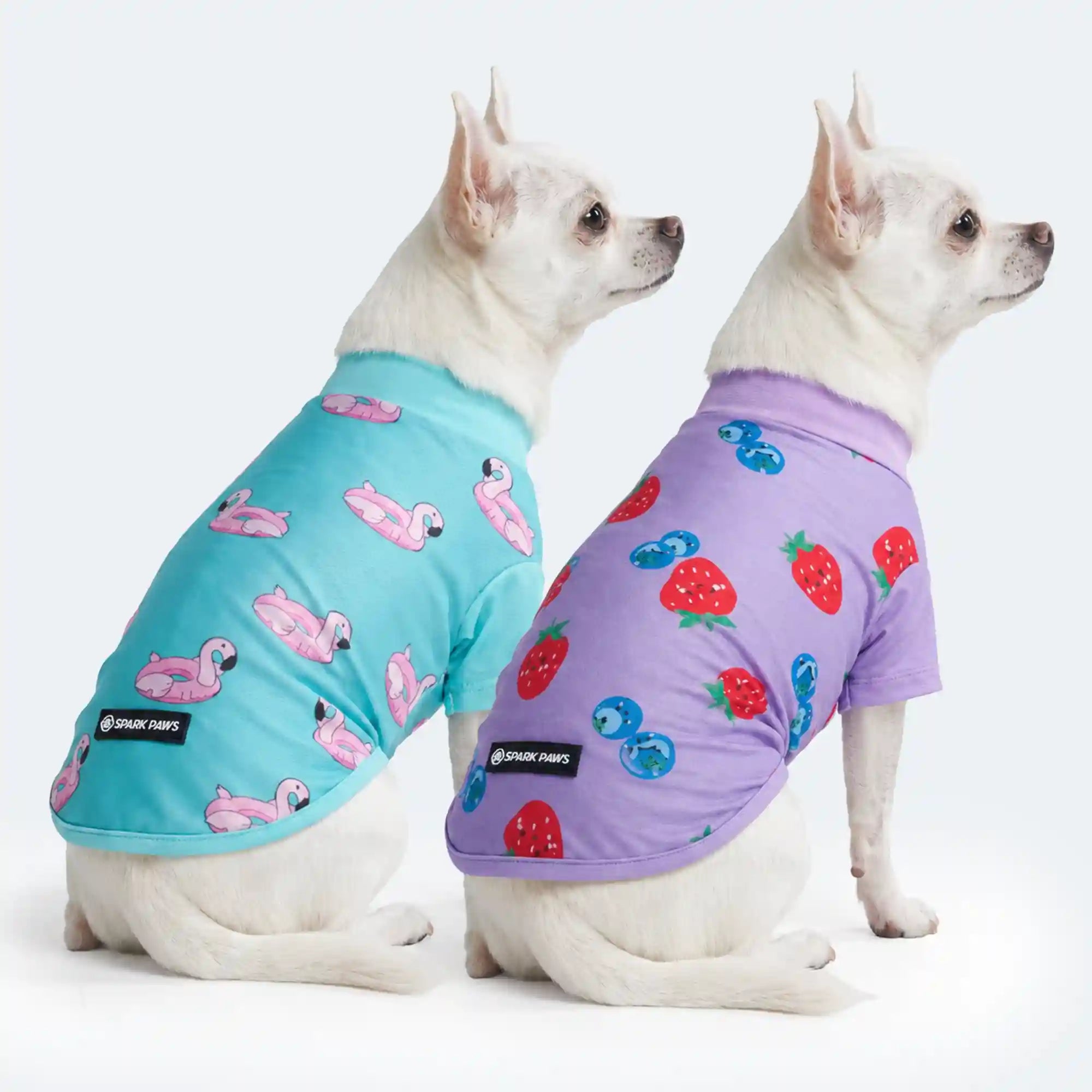 sparkpawsmaut.com