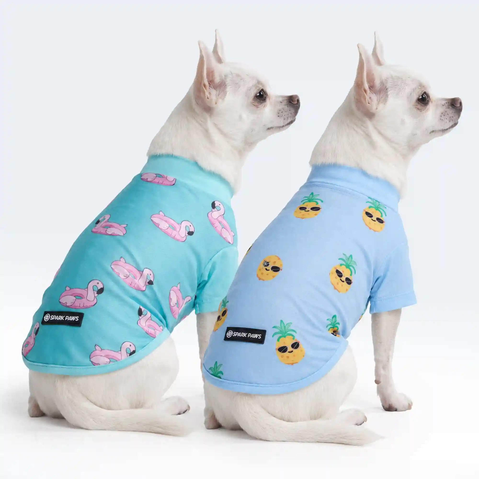 sparkpawsmaut.com