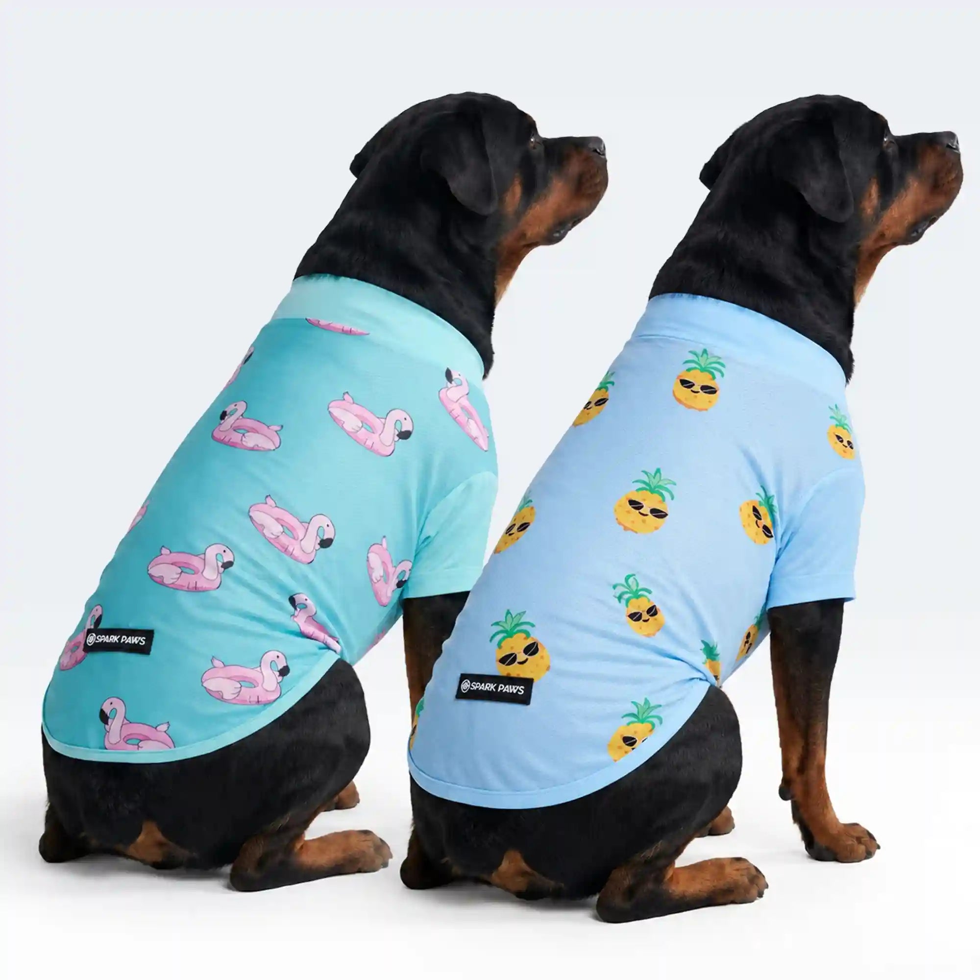 sparkpawsmaut.com