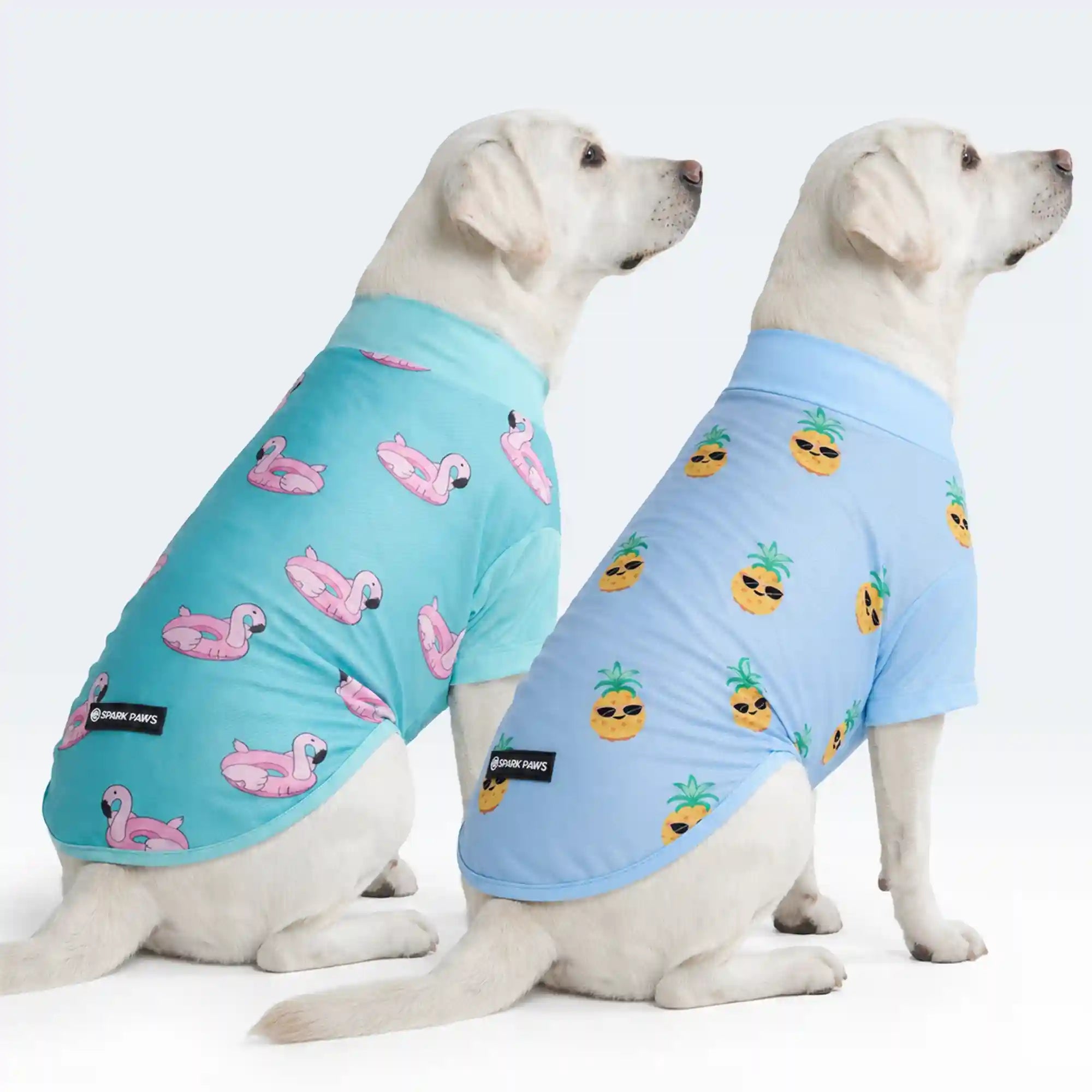 sparkpawsmaut.com