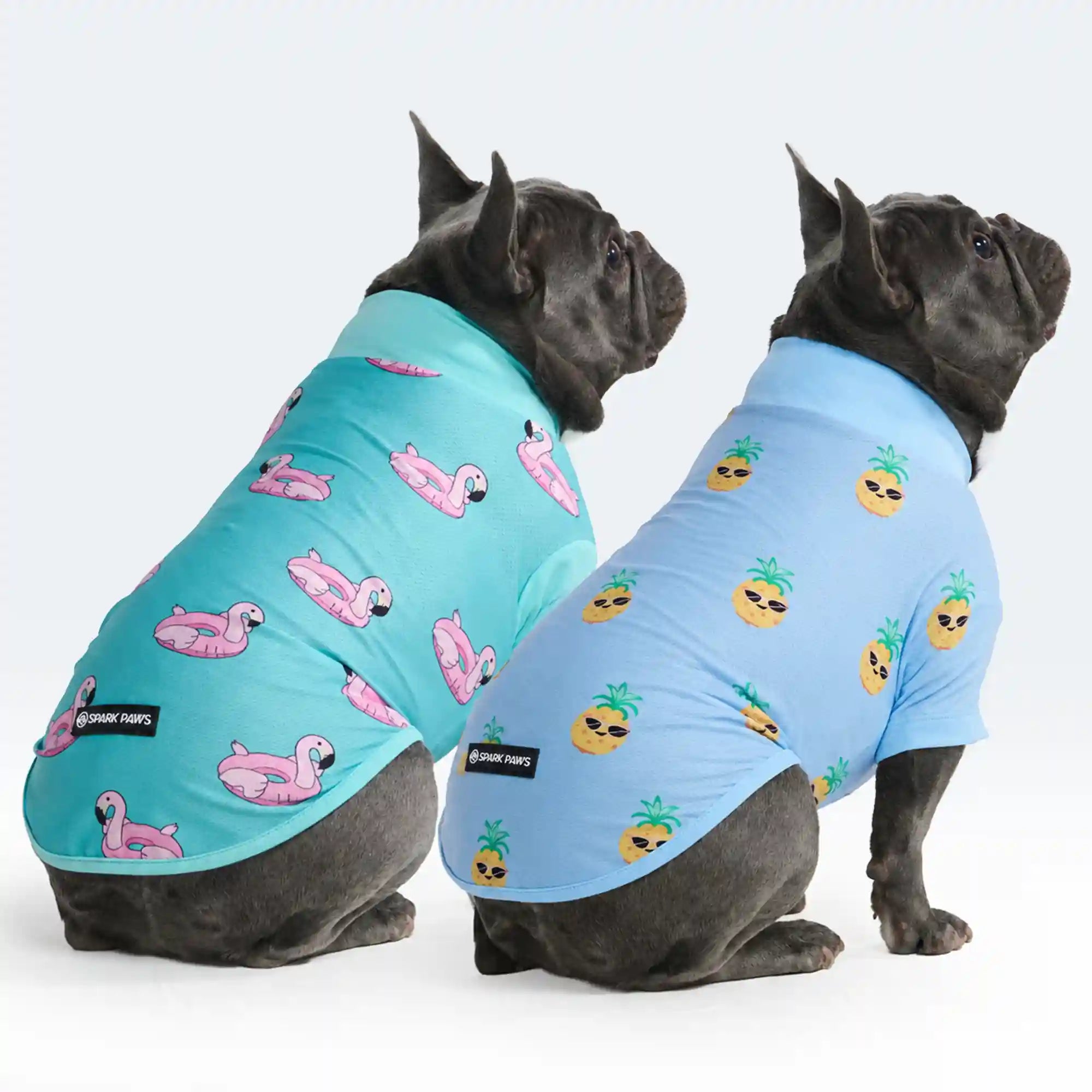 sparkpawsmaut.com