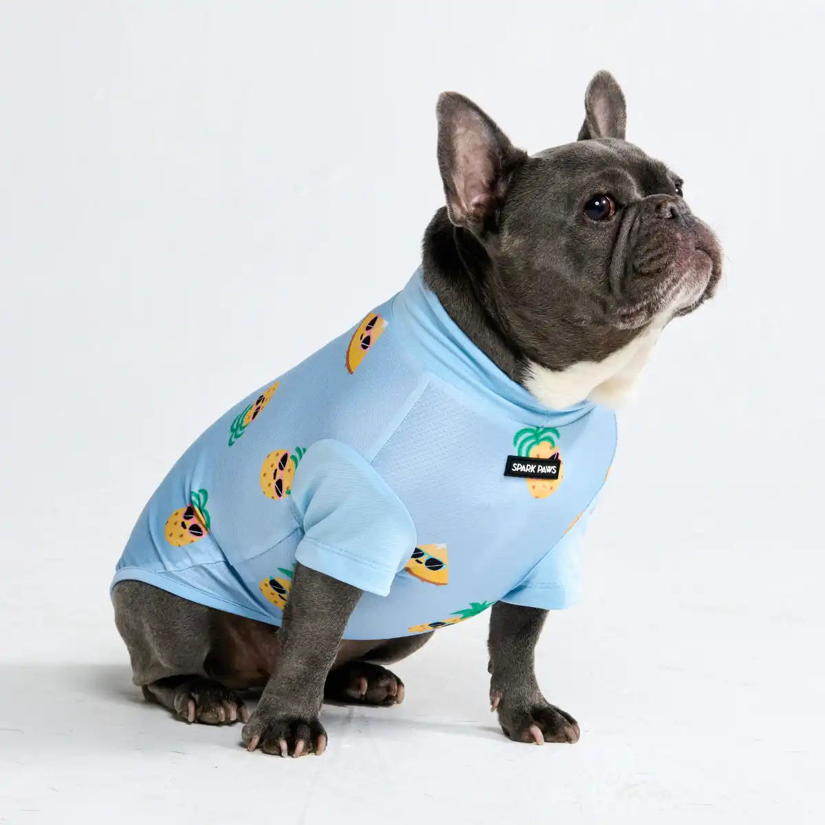 sparkpawsmaut.com