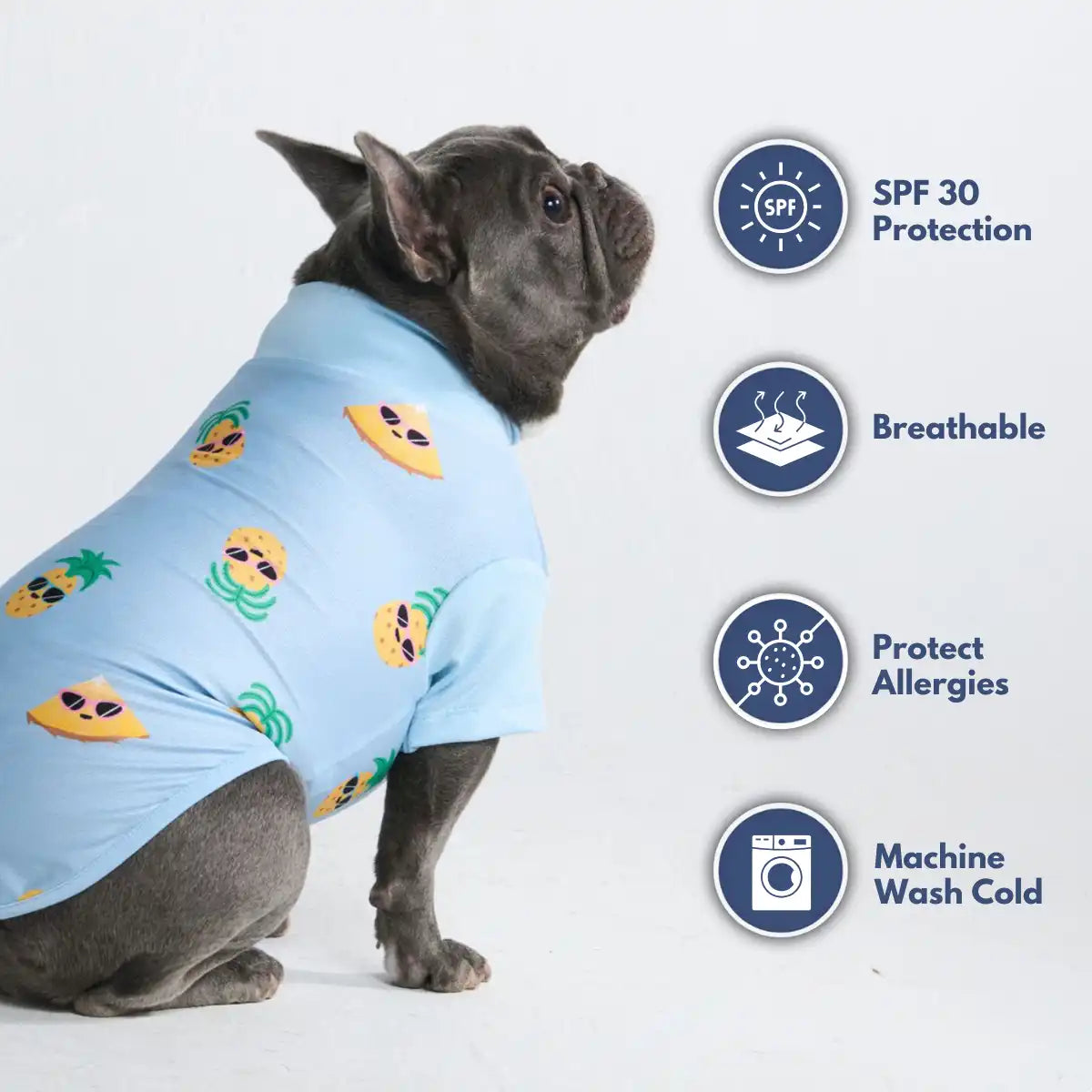 sparkpawsmaut.com