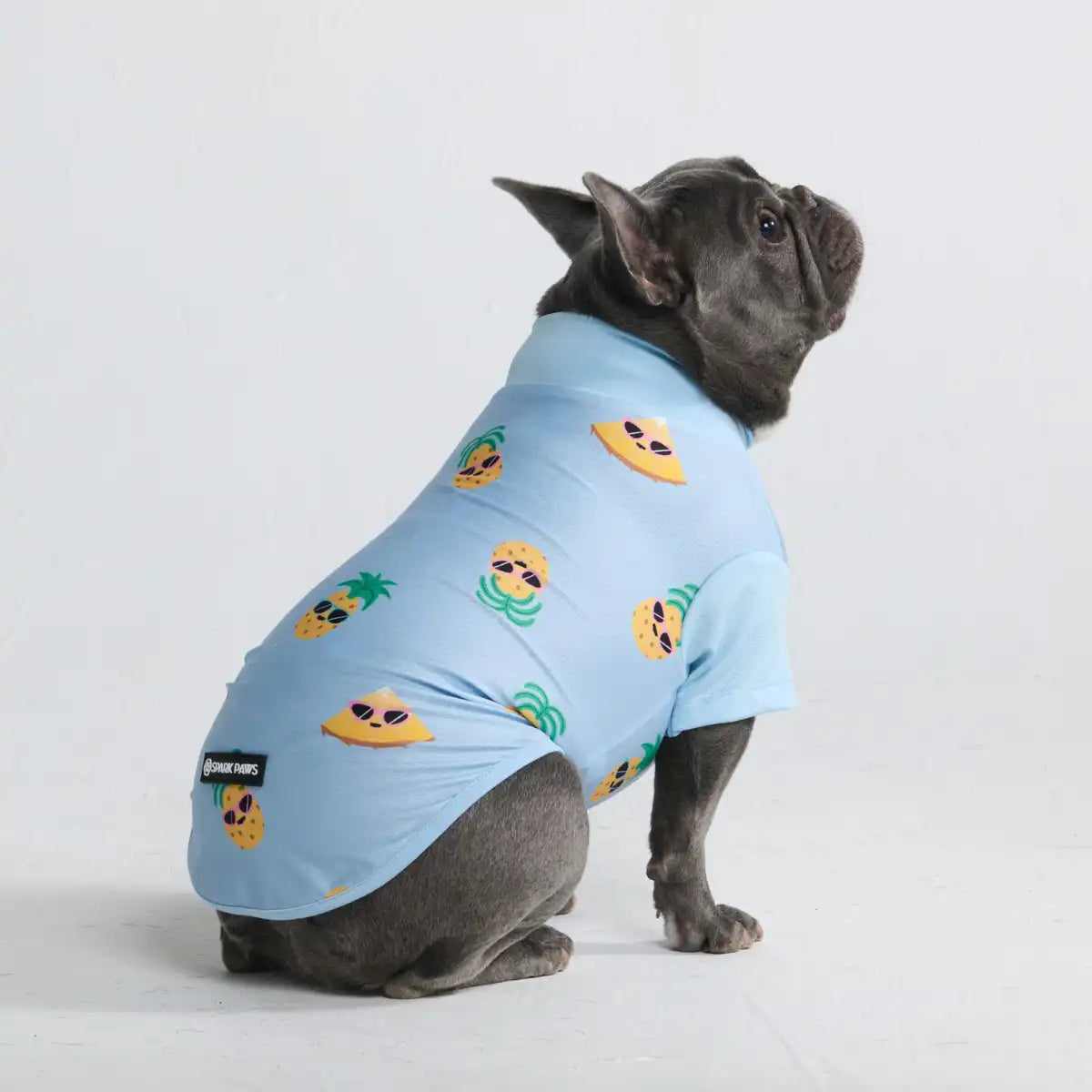 sparkpawsmaut.com