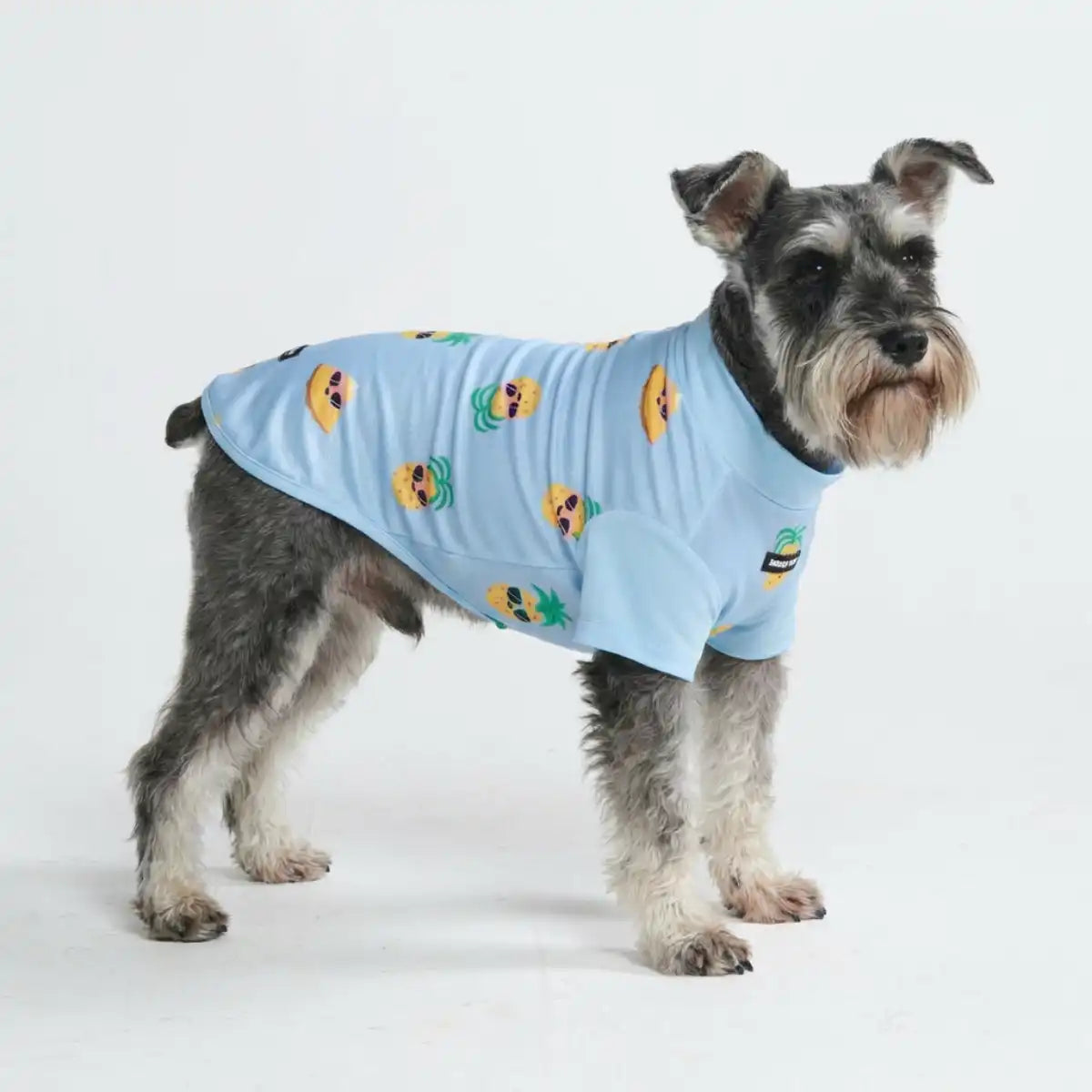 sparkpawsmaut.com