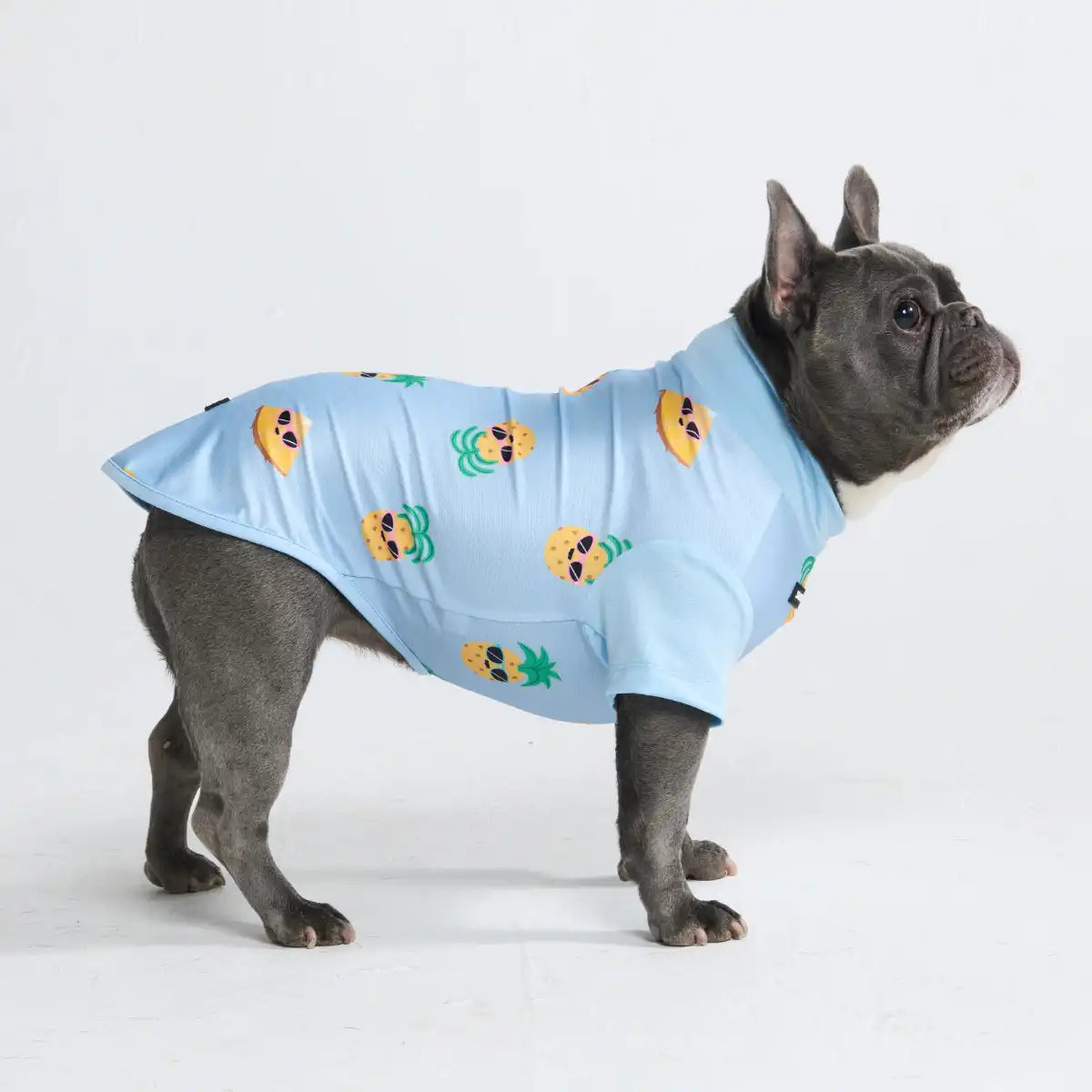 sparkpawsmaut.com