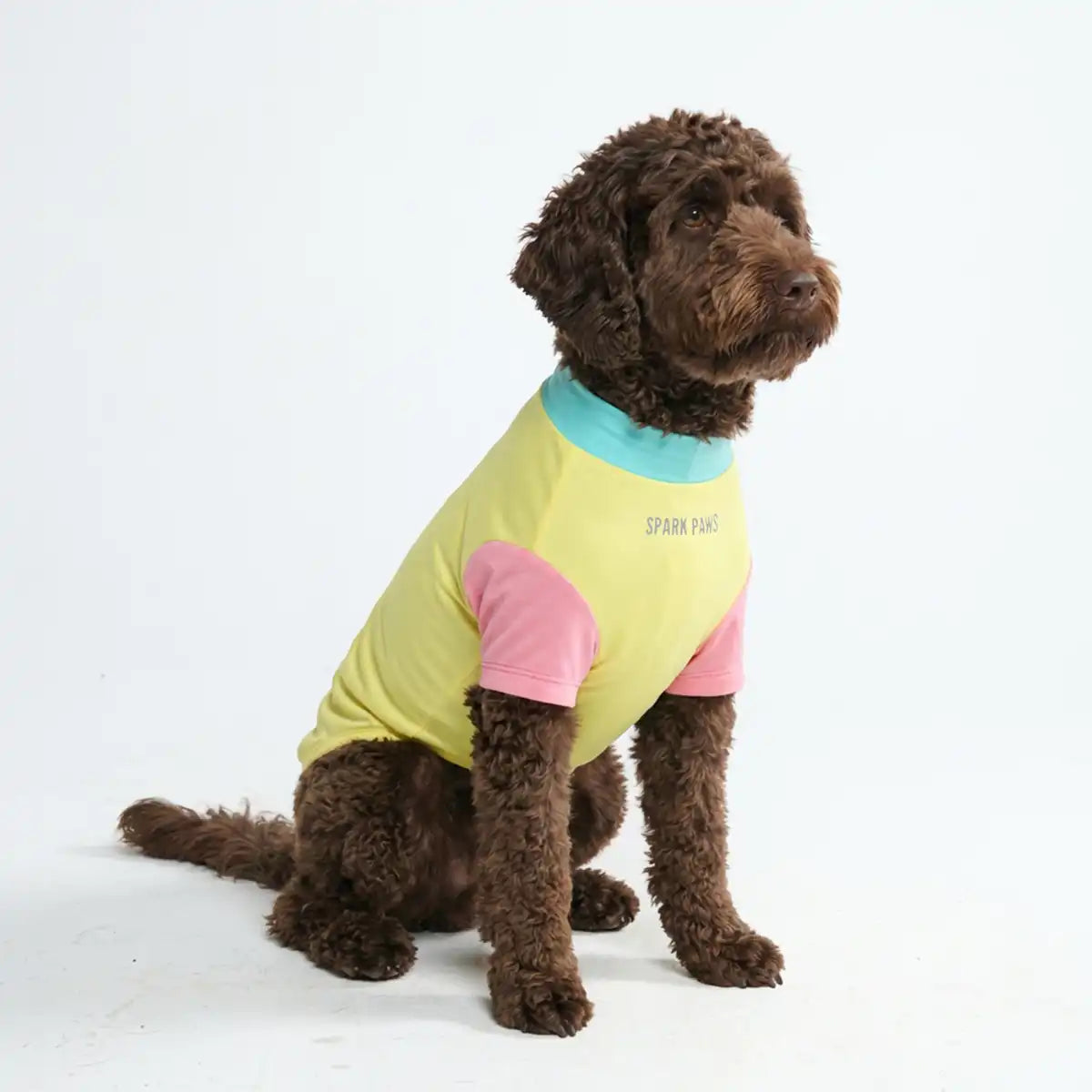 sparkpawsmaut.com