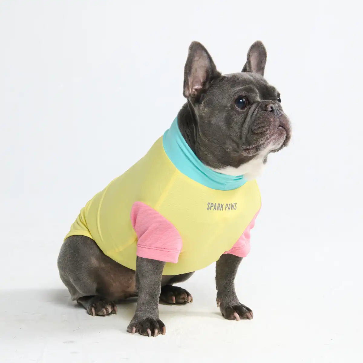 sparkpawsmaut.com