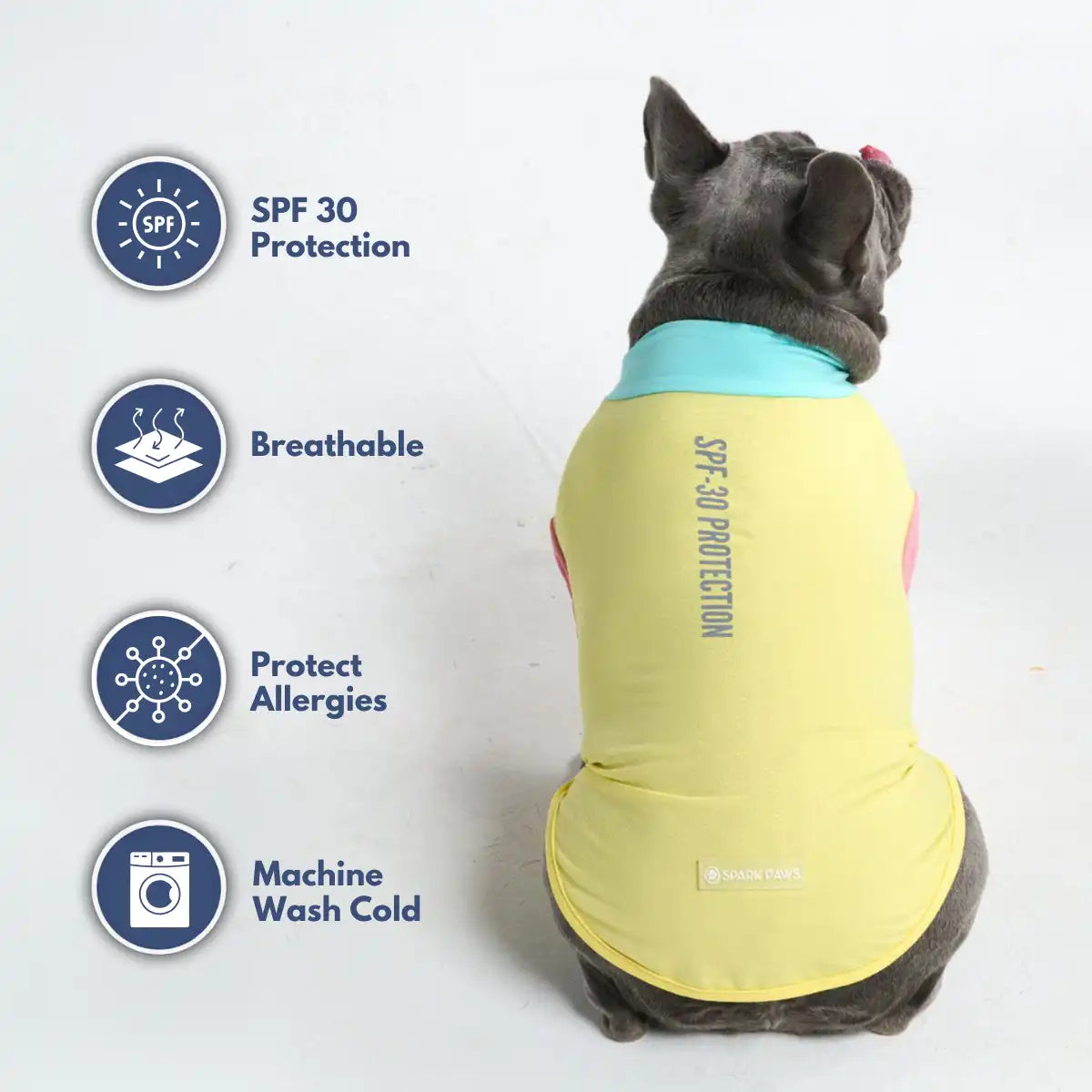 sparkpawsmaut.com