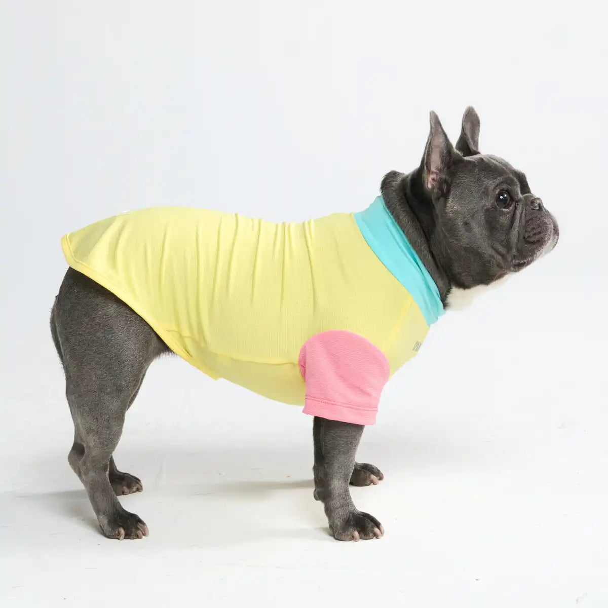sparkpawsmaut.com