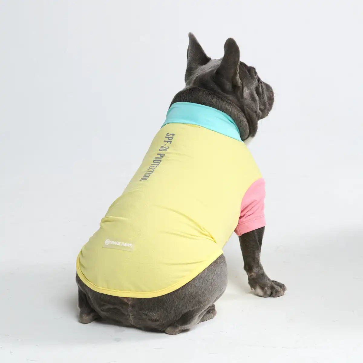 sparkpawsmaut.com