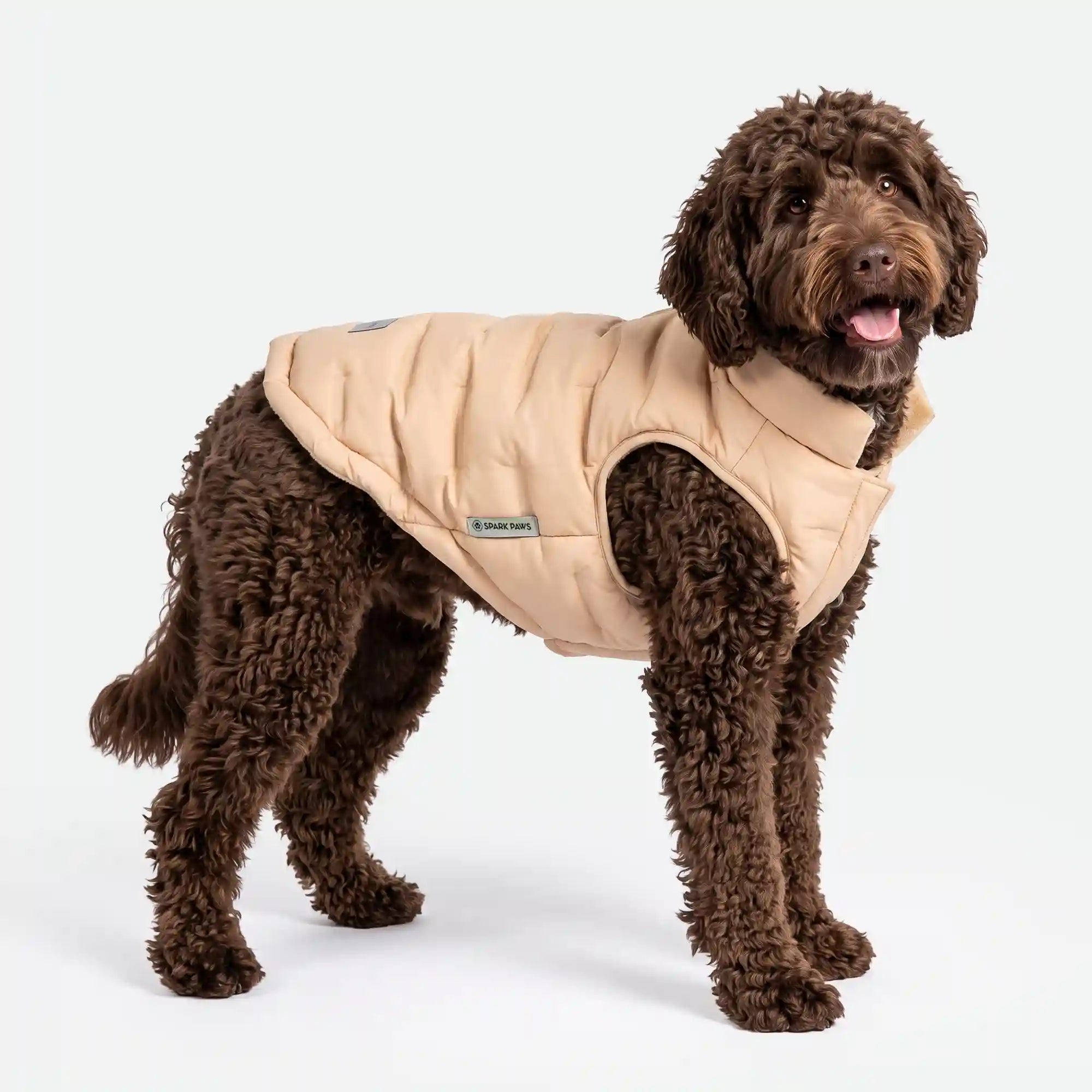 sparkpawsmaut.com