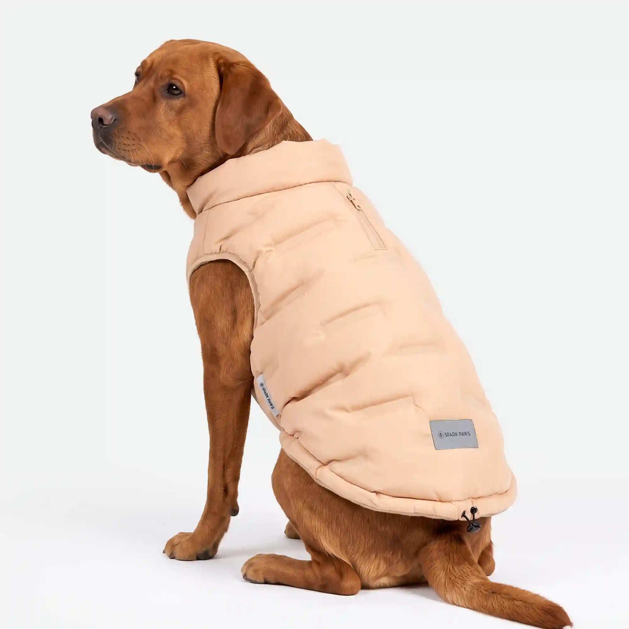 sparkpawsmaut.com