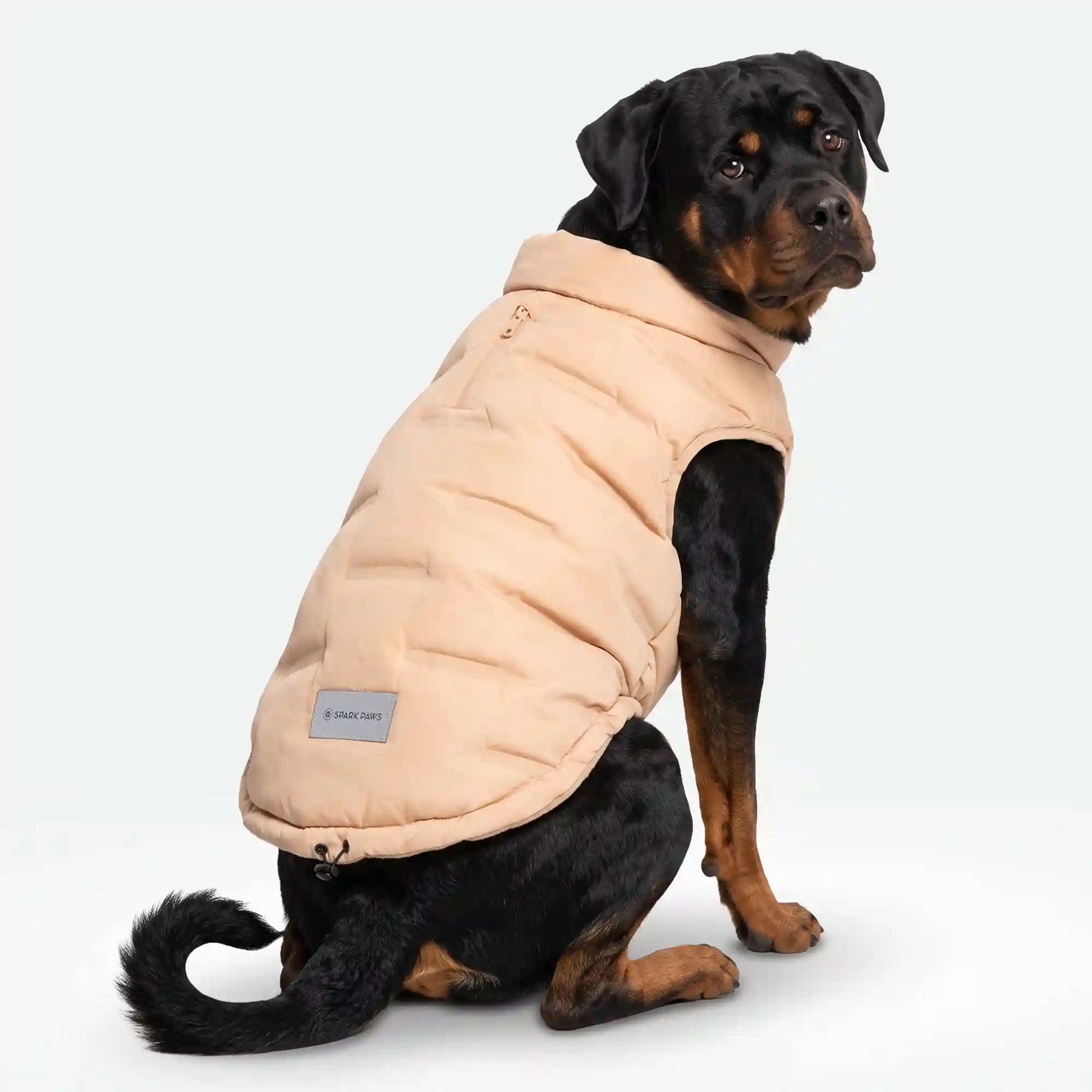 sparkpawsmaut.com
