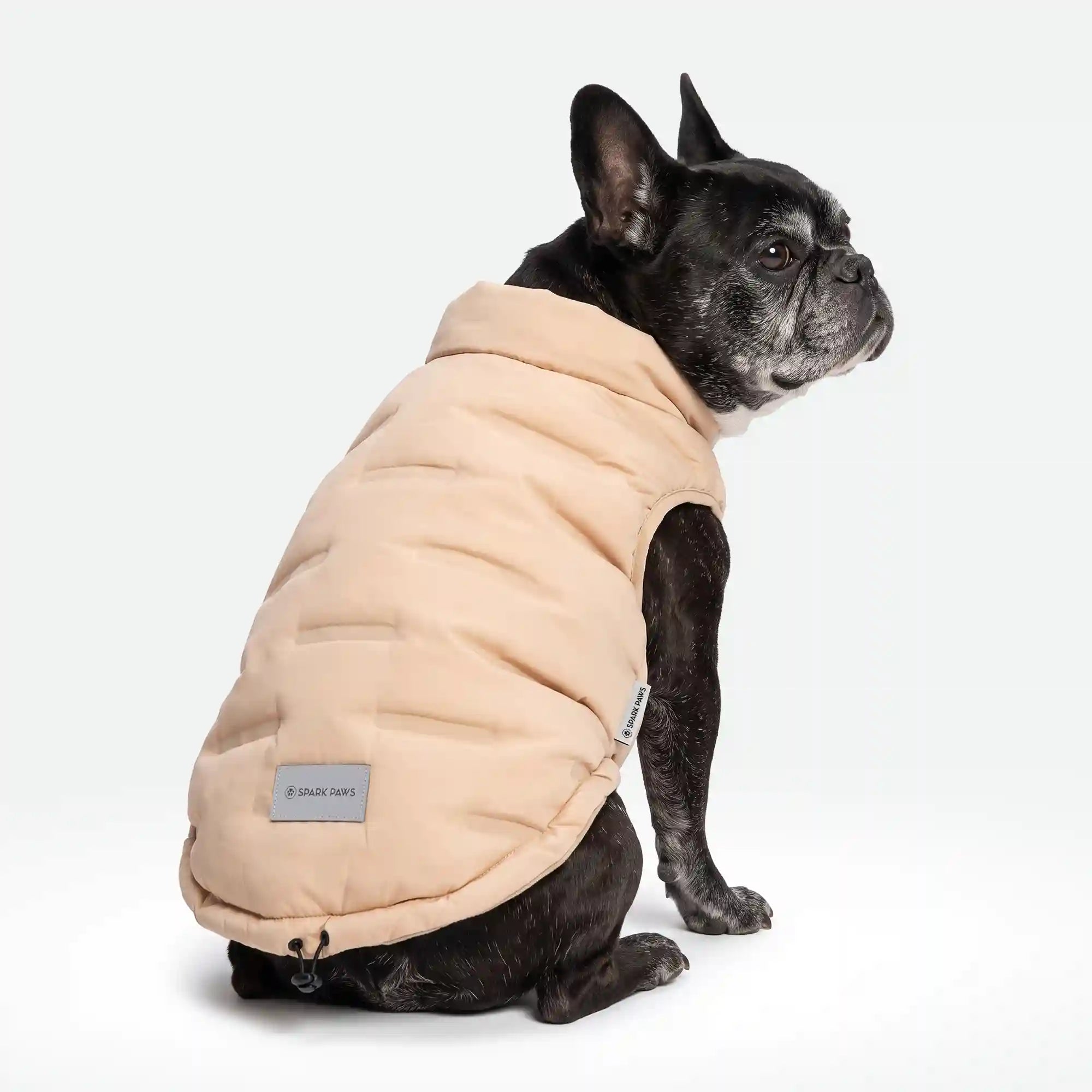 sparkpawsmaut.com