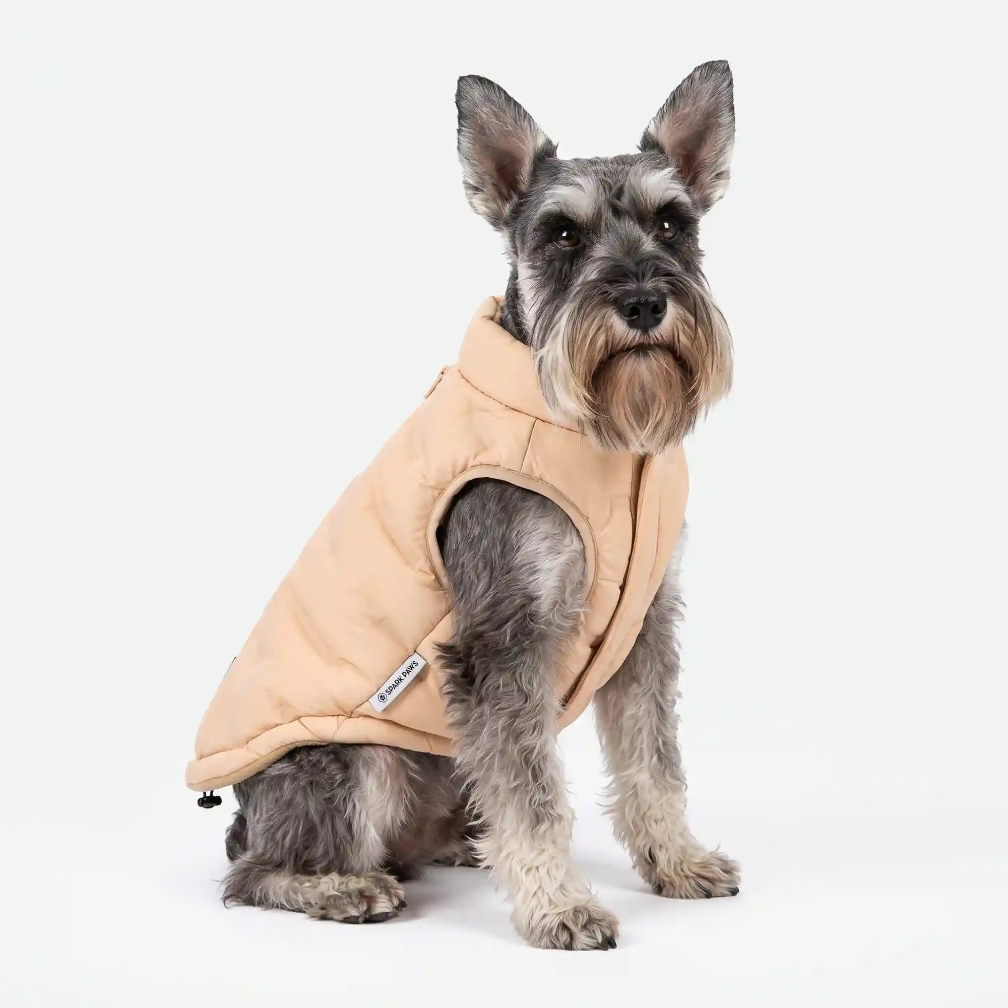 sparkpawsmaut.com