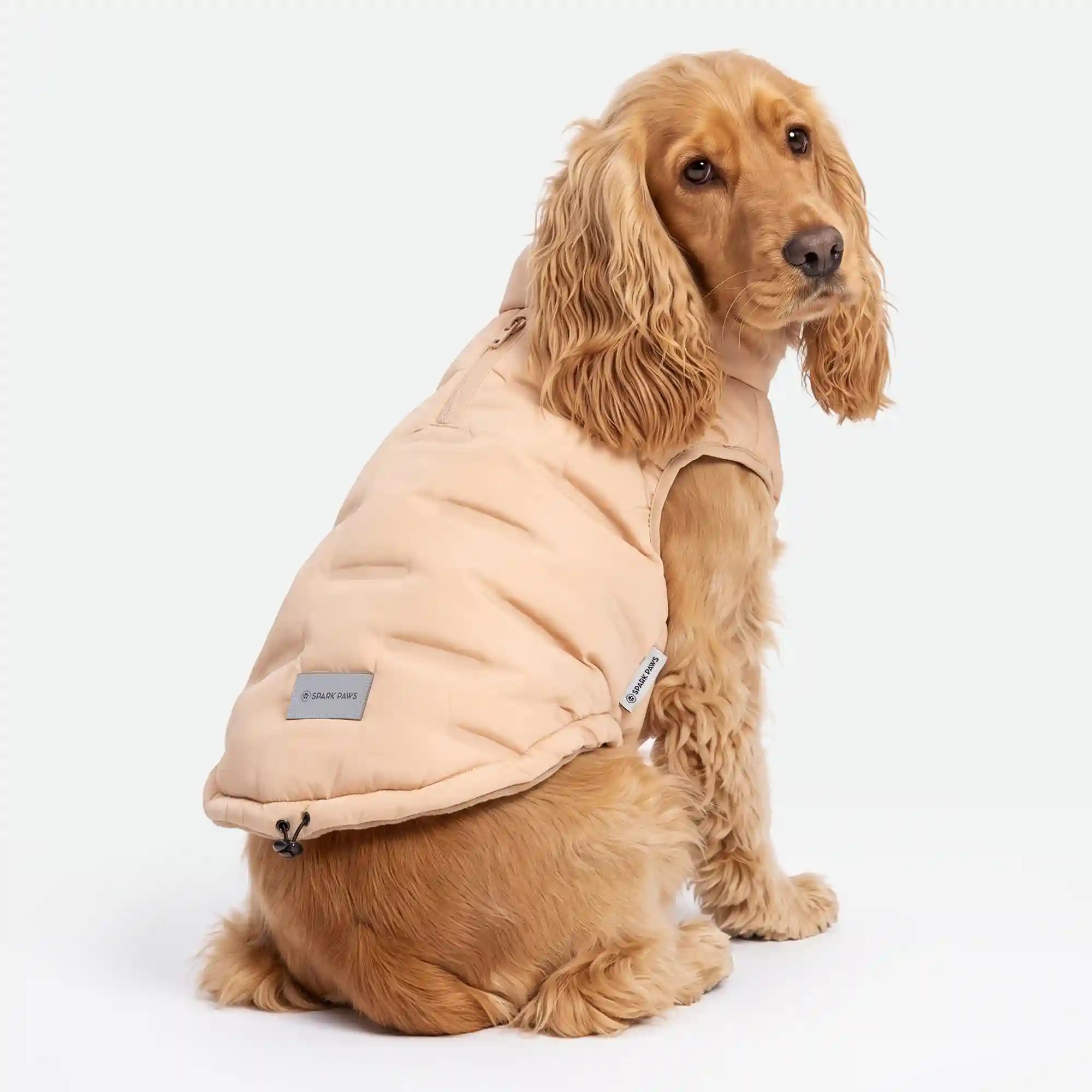 sparkpawsmaut.com
