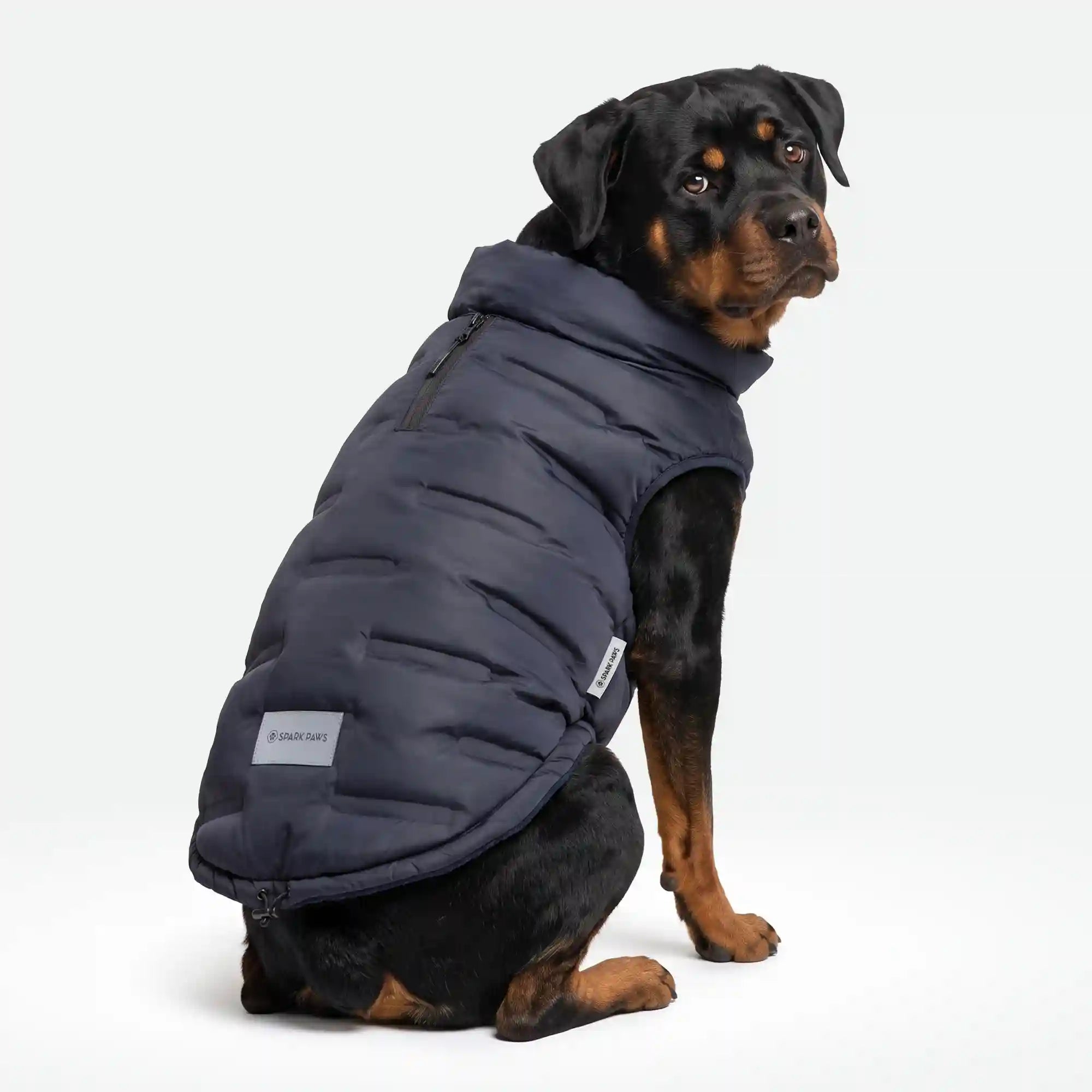 sparkpawsmaut.com
