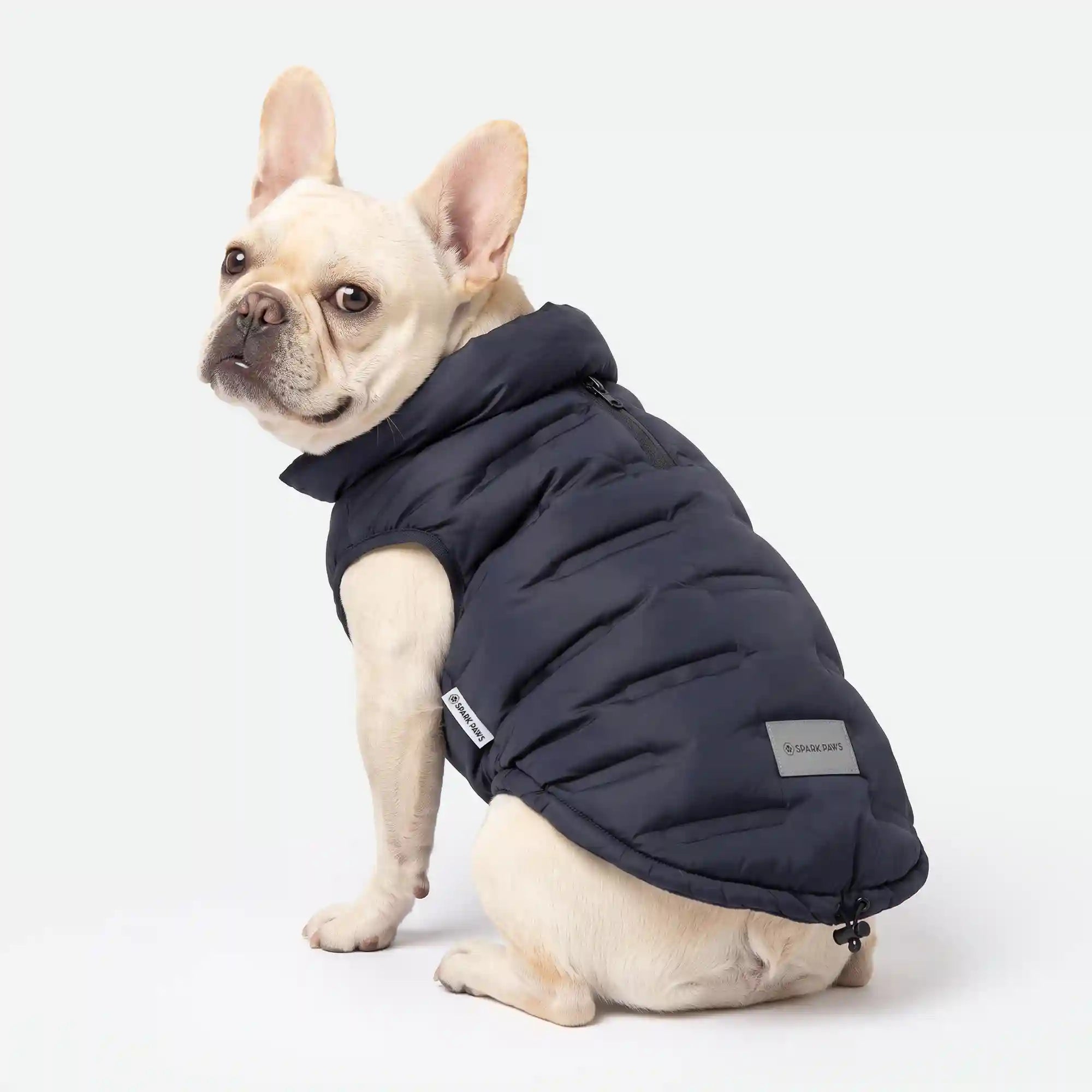 sparkpawsmaut.com